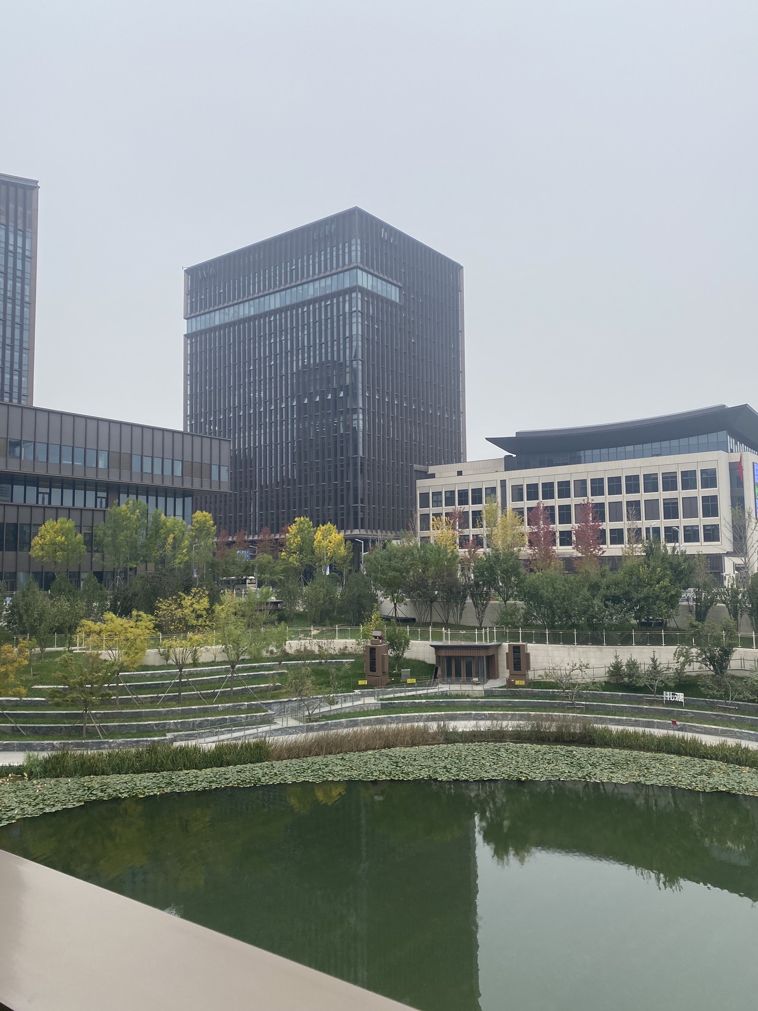 雄安商务服务中心南广场旅行图片 2