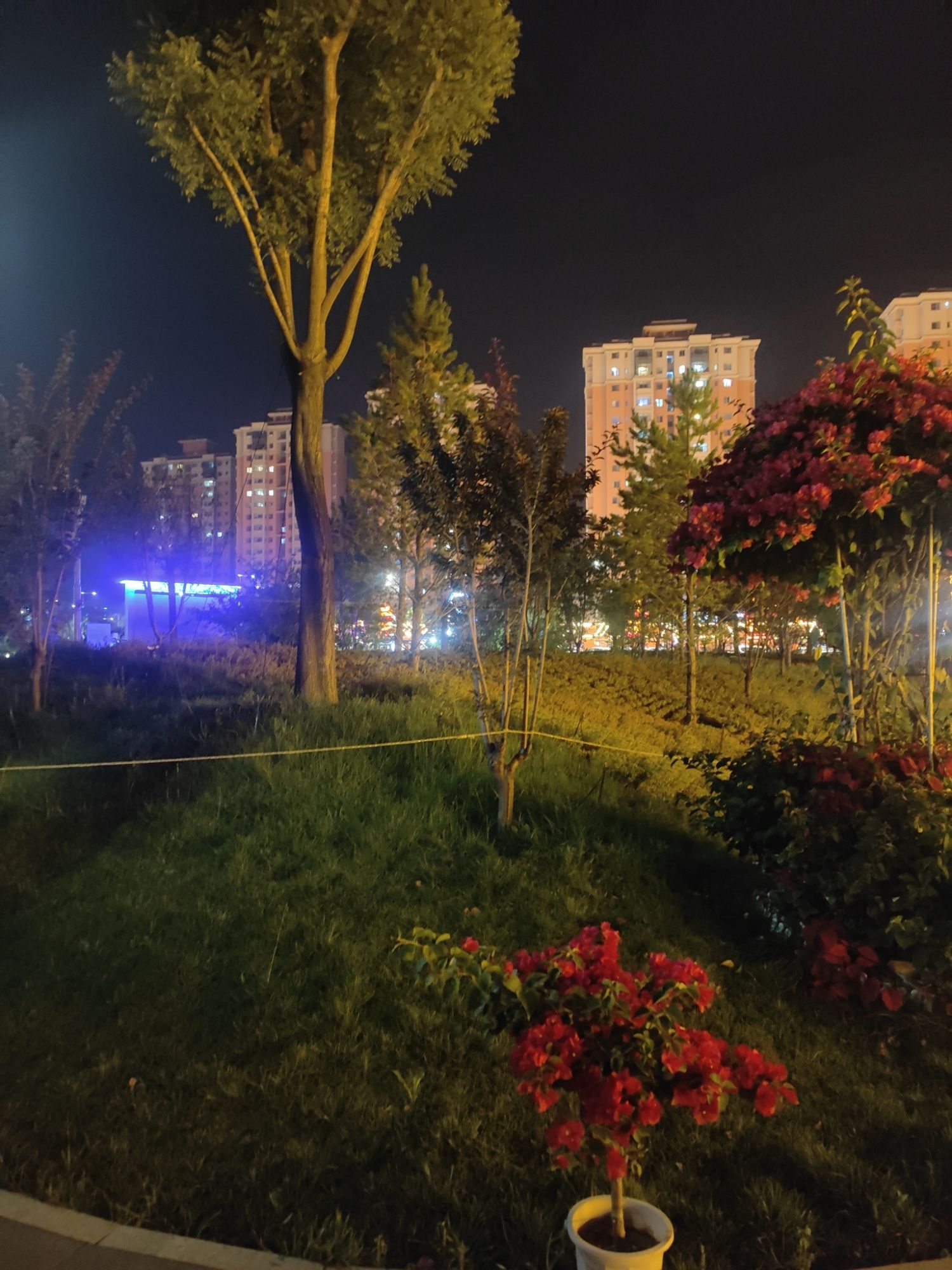 湖东智慧公园旅行图片 1