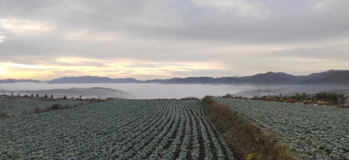 龙王谷