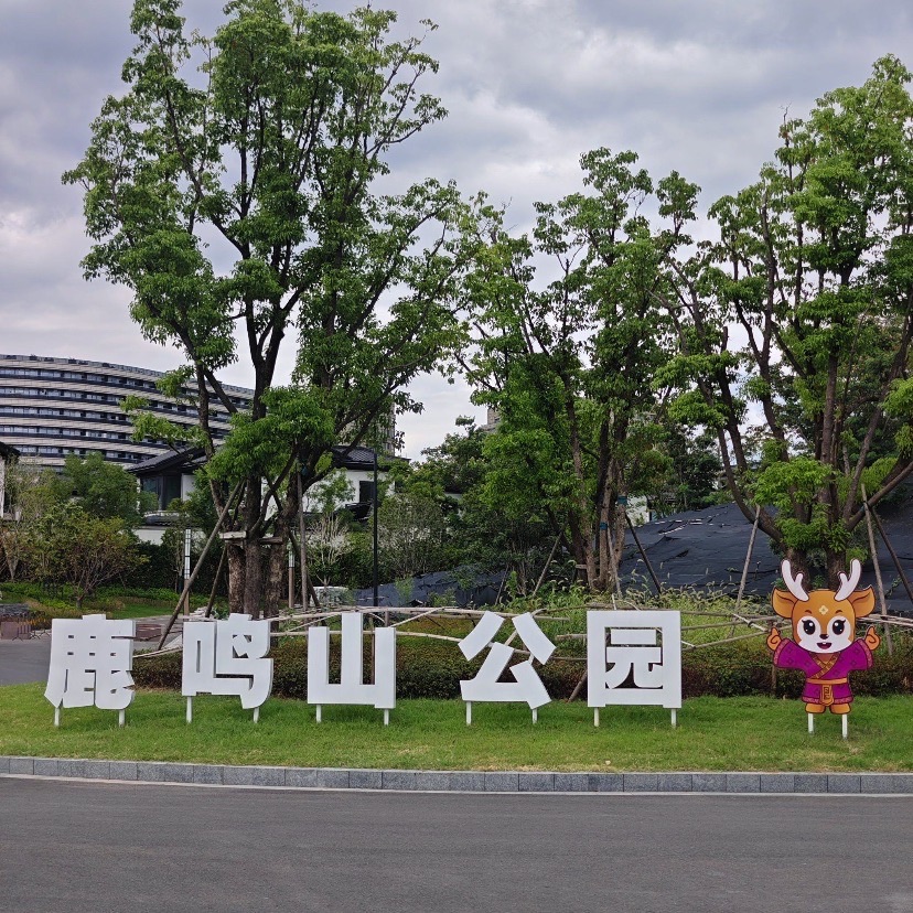 衢州古城文化旅游区鹿鸣大草坪景点图片