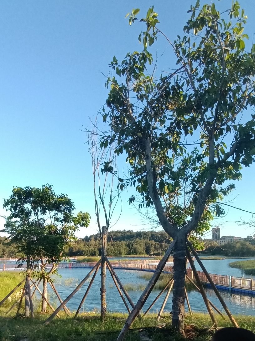 紫玉湖湿地公园旅行图片 1