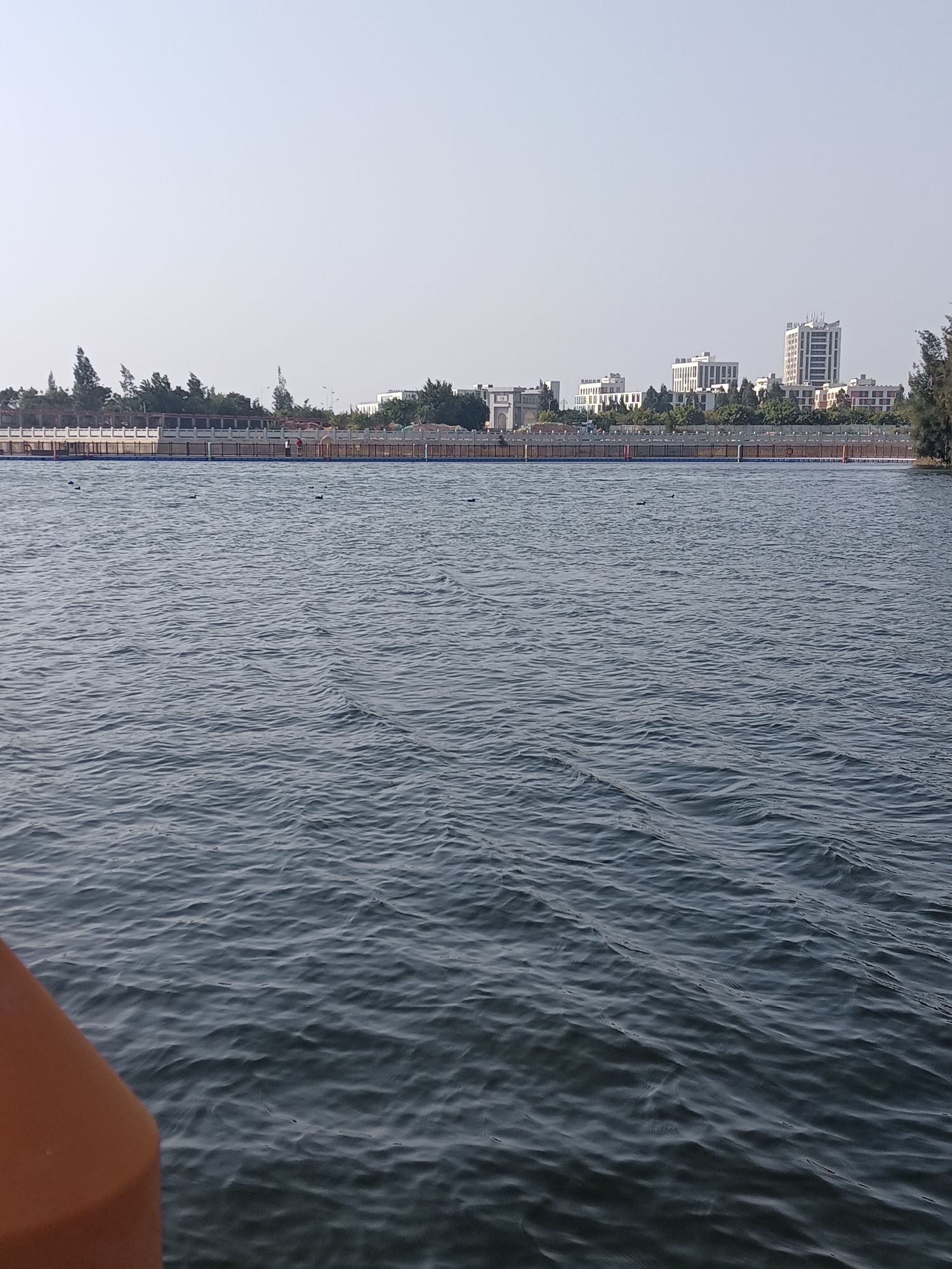 紫玉湖湿地公园旅行图片 2