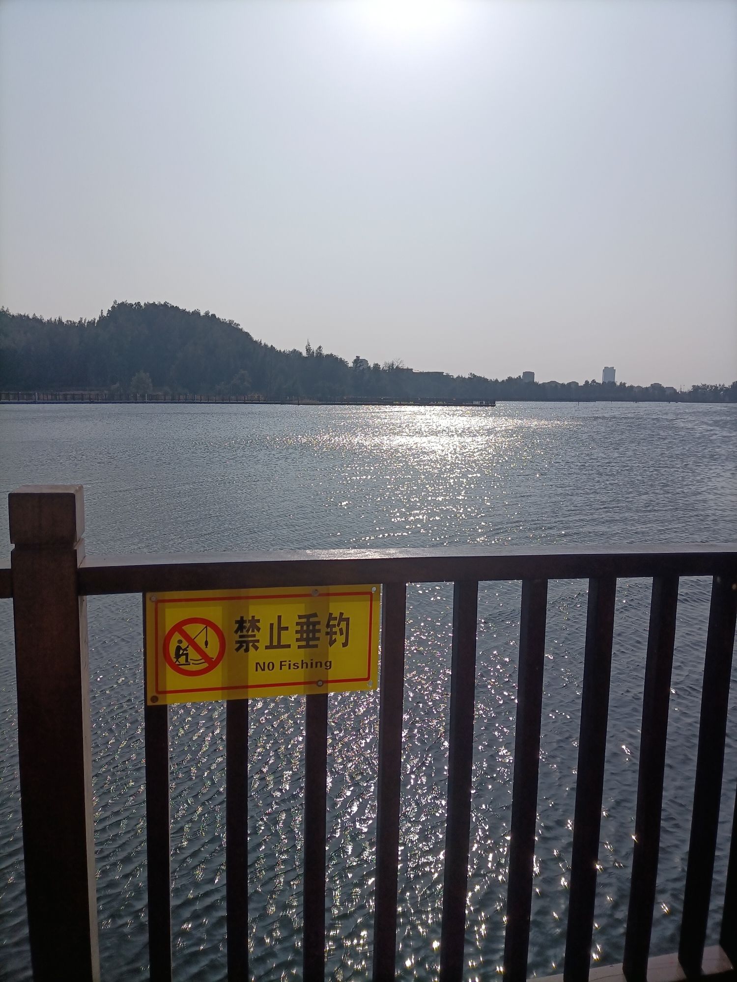 紫玉湖湿地公园旅行图片 3