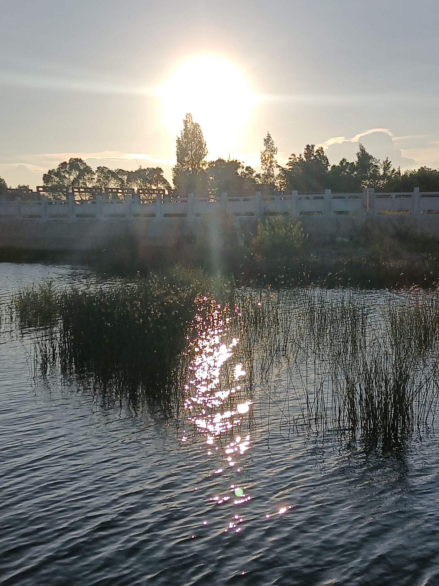 紫玉湖湿地公园旅行图片 3