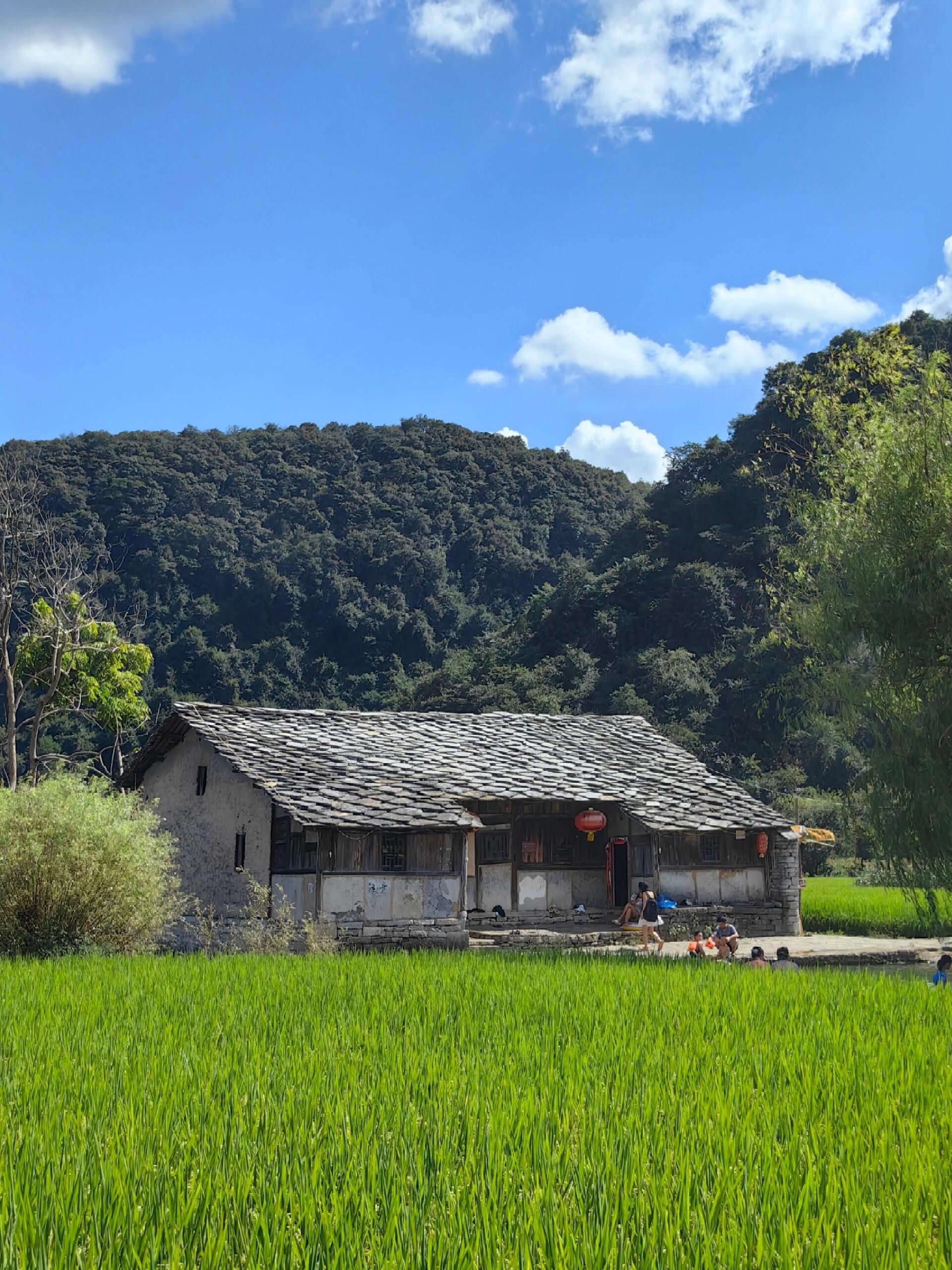 鲍家屯景区旅行图片 2