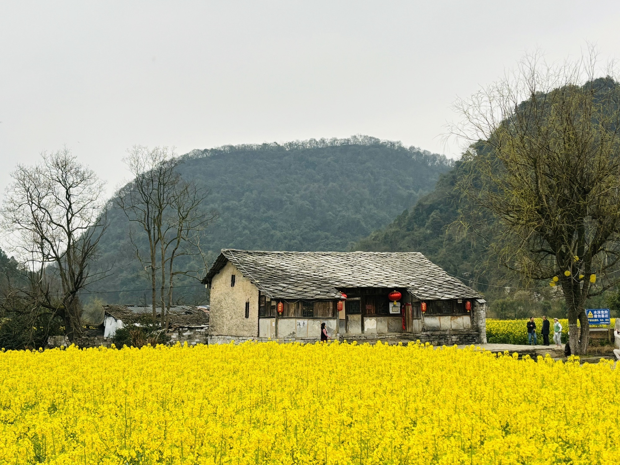 鲍家屯景区旅行图片 2