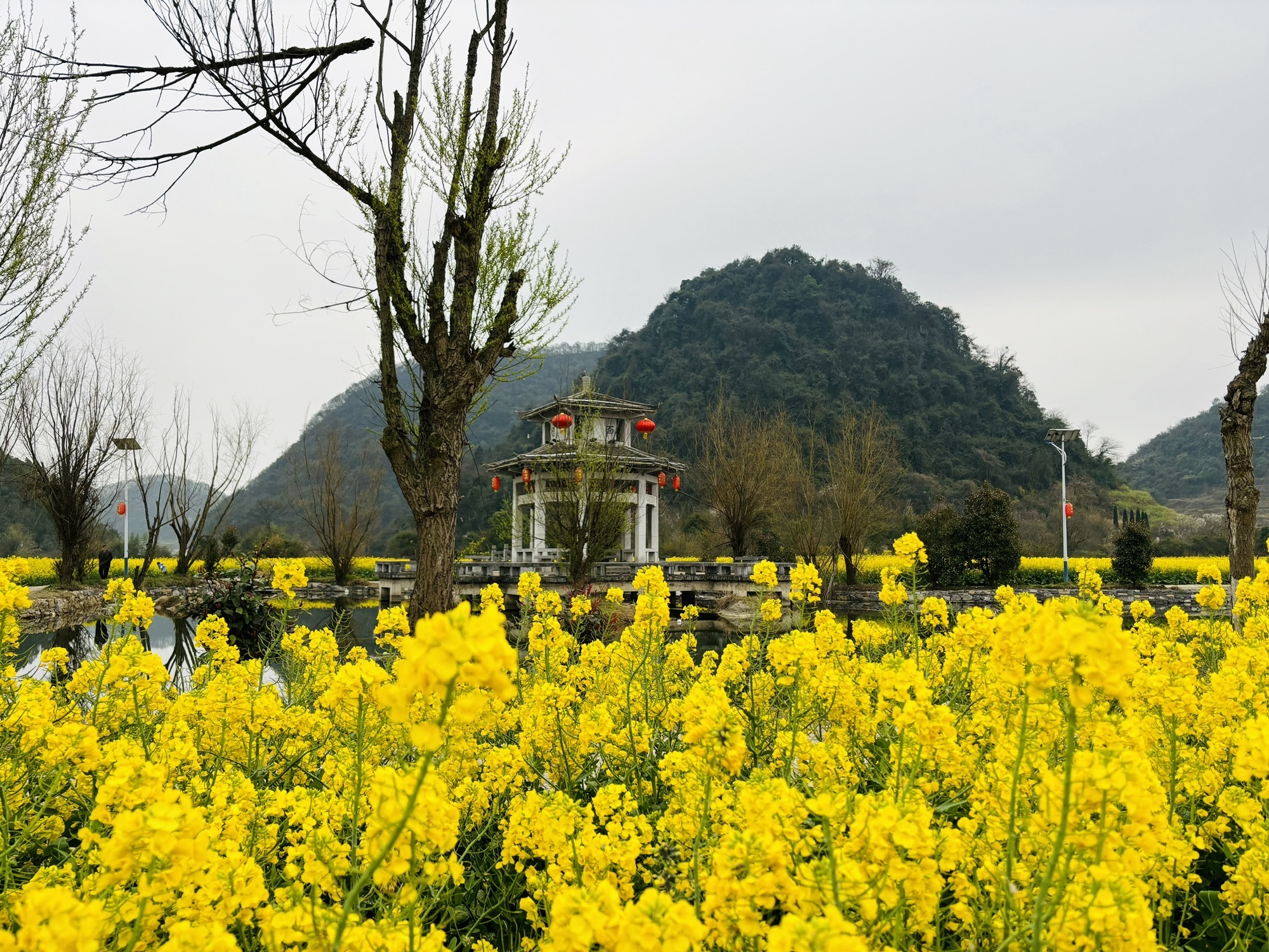 鲍家屯景区旅行图片 3
