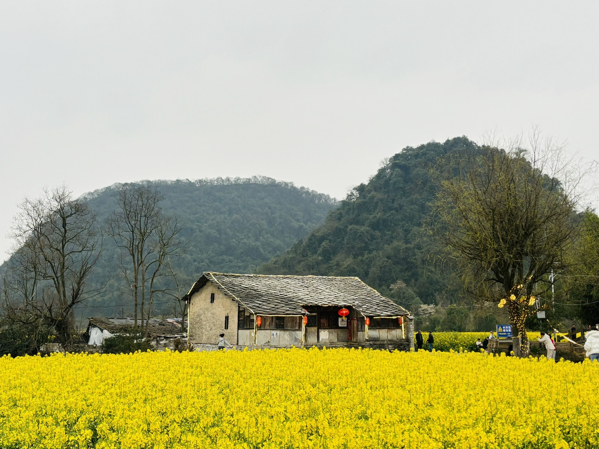 鲍家屯景区旅行图片 1