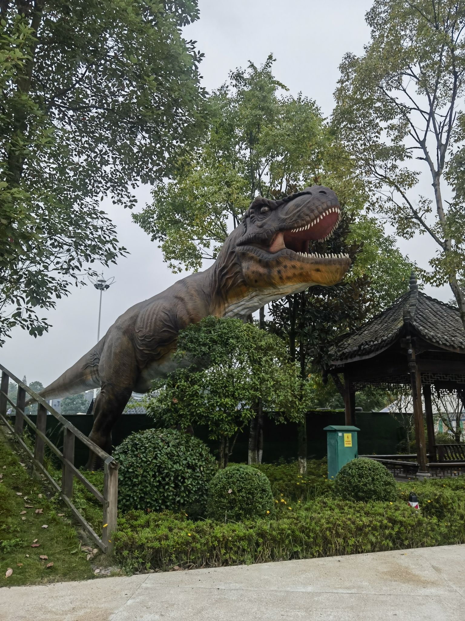 街子悠游岛旅行图片 1