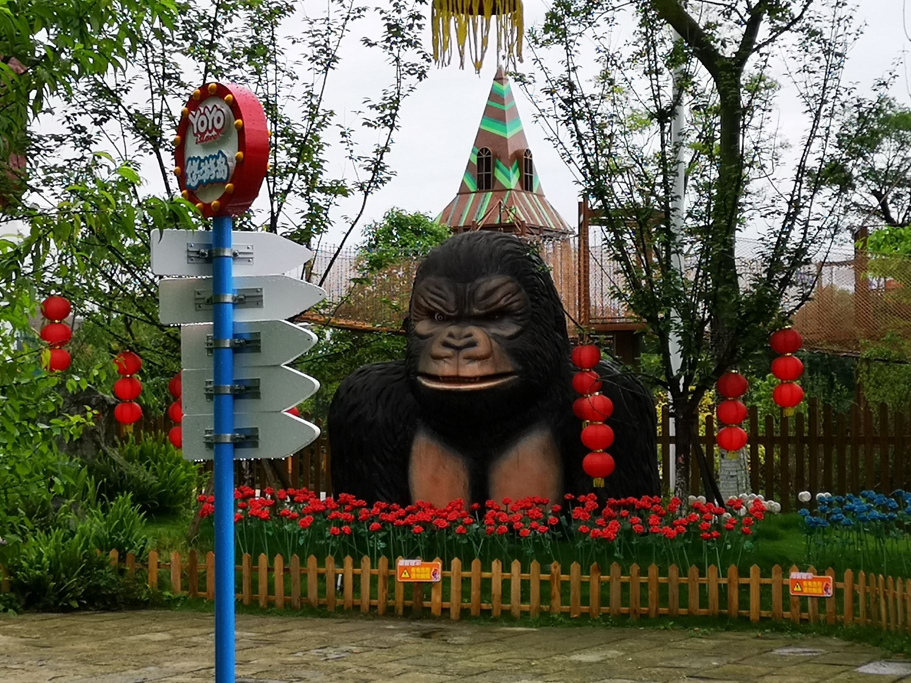 街子悠游岛旅行图片 1