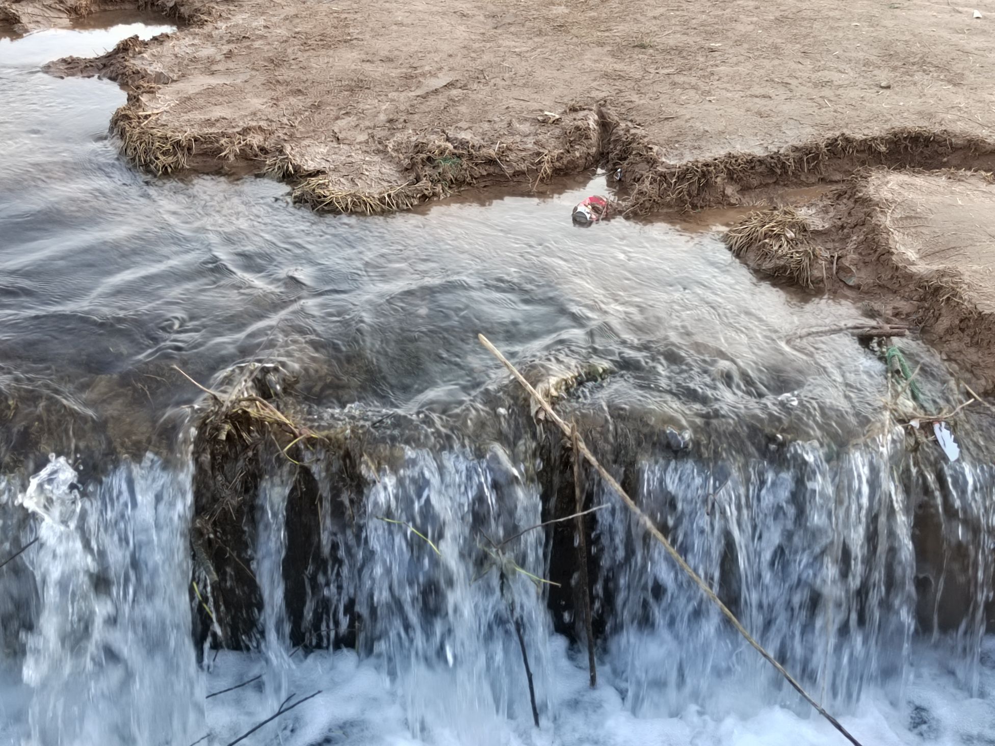 甘泉河湿地旅行图片 1