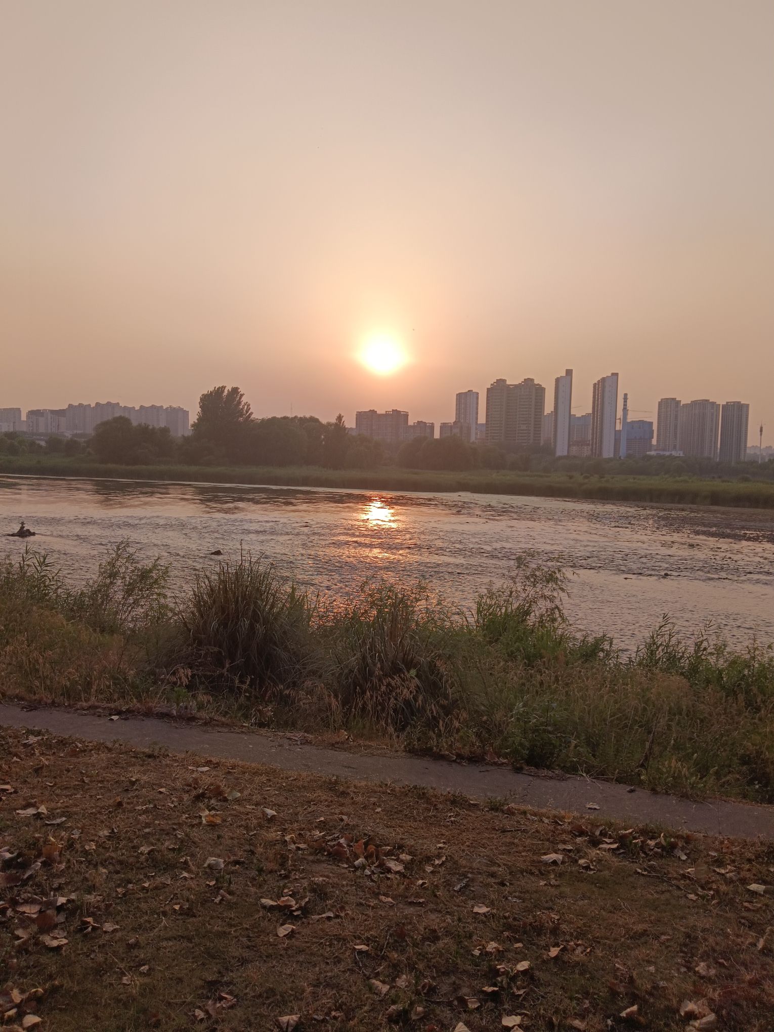 甘泉河湿地旅行图片 3