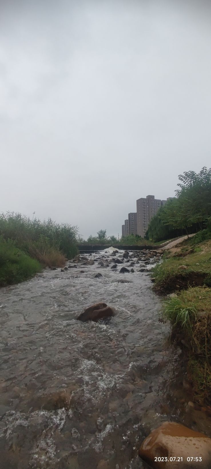 甘泉河湿地旅行图片 3