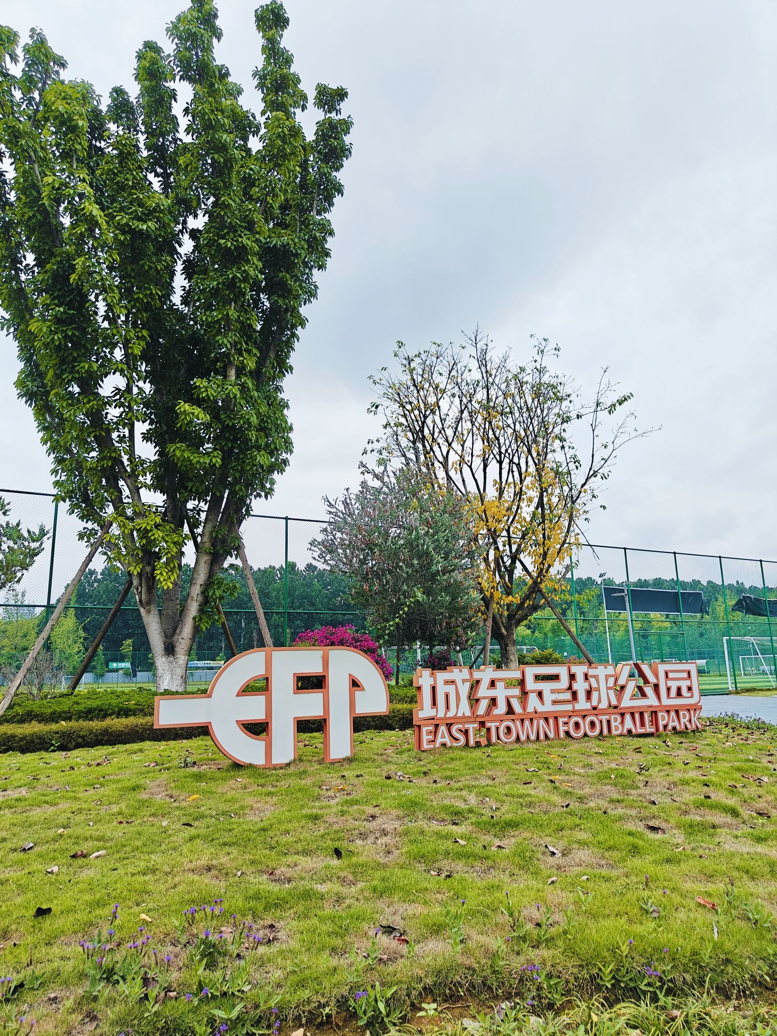 场地封面-城东足球公园