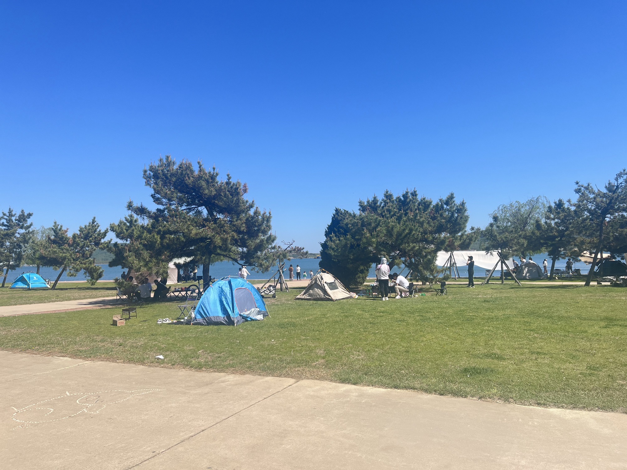 旅顺海滨公园旅行图片 3