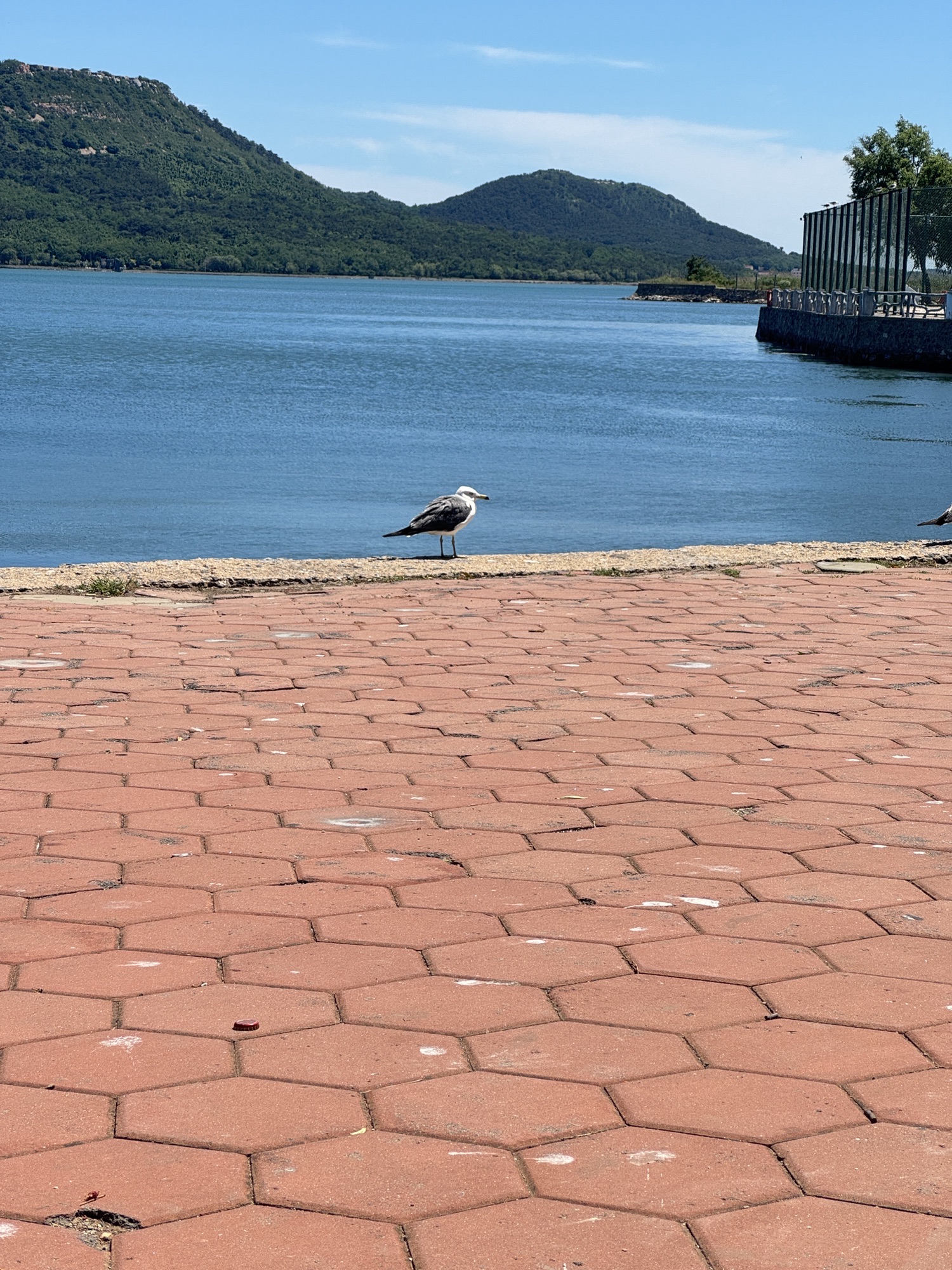 旅顺海滨公园旅行图片 3