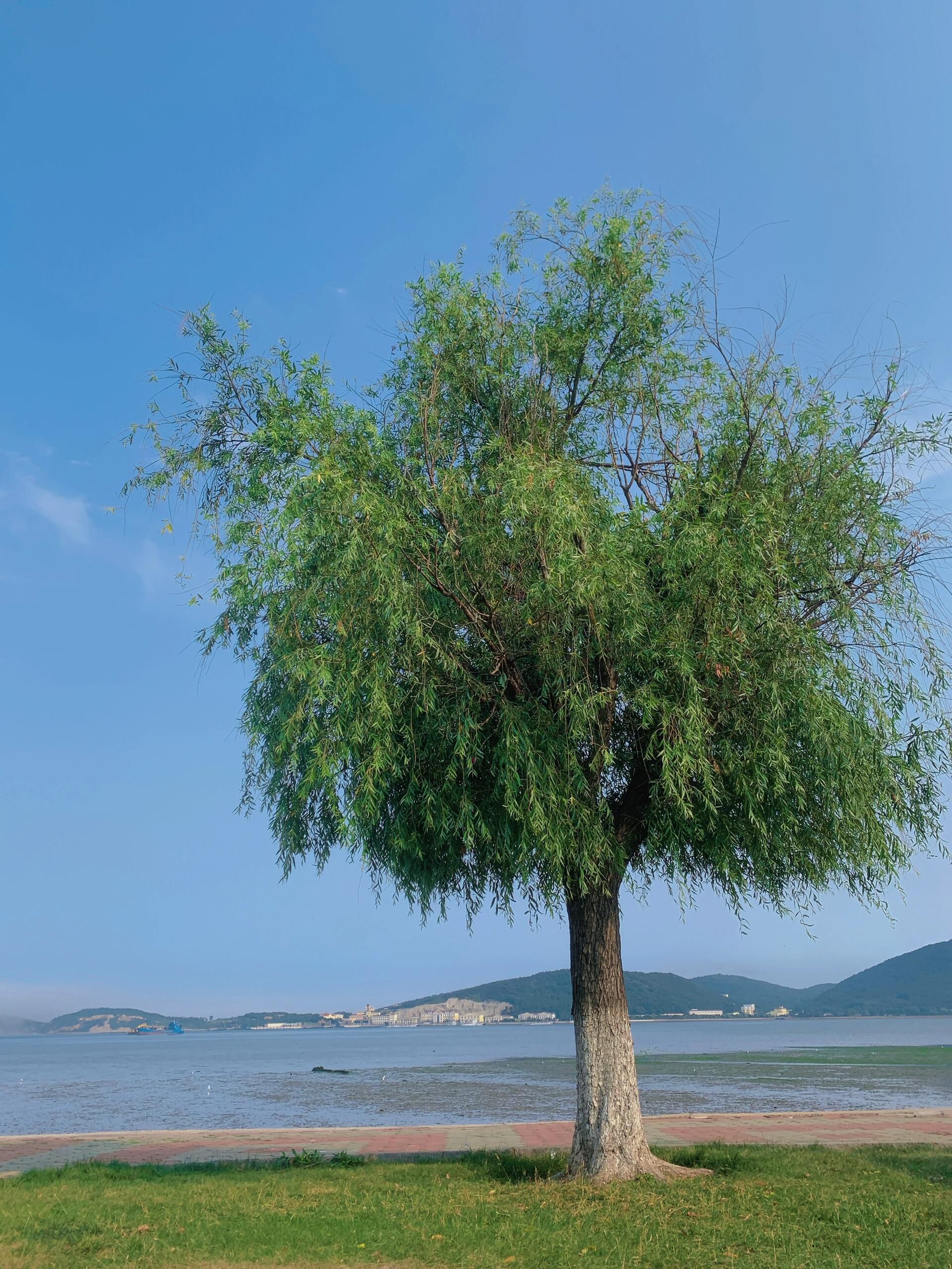 旅顺海滨公园旅行图片 1