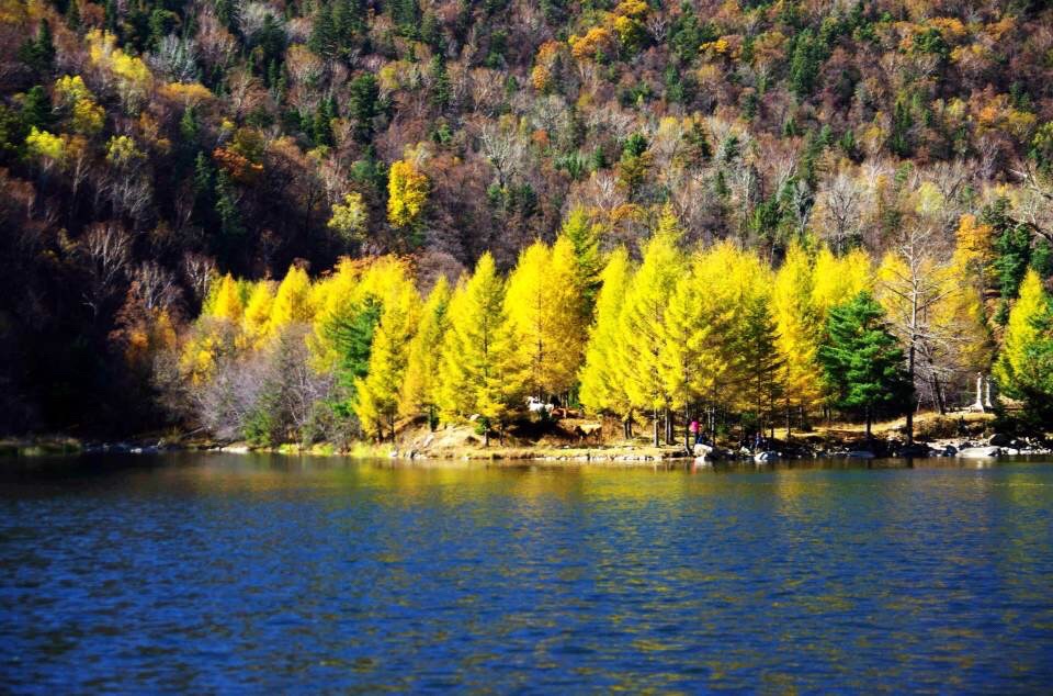 黑龙江画家村旅行图片 1