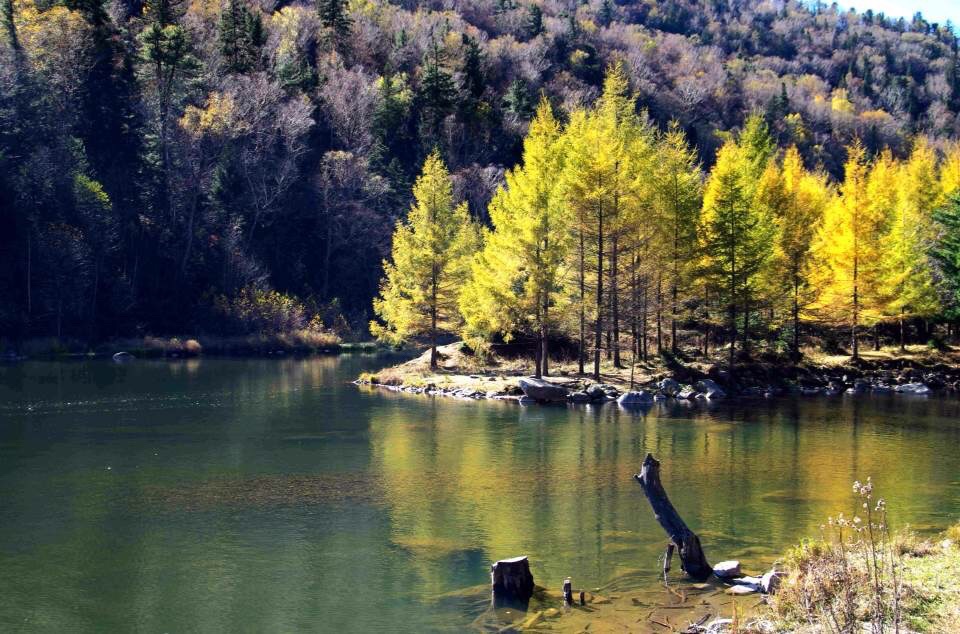 黑龙江画家村旅行图片 2