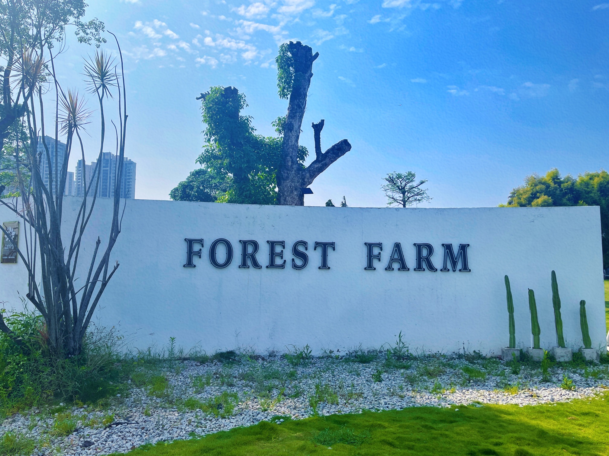 森町农场FOREST FARM