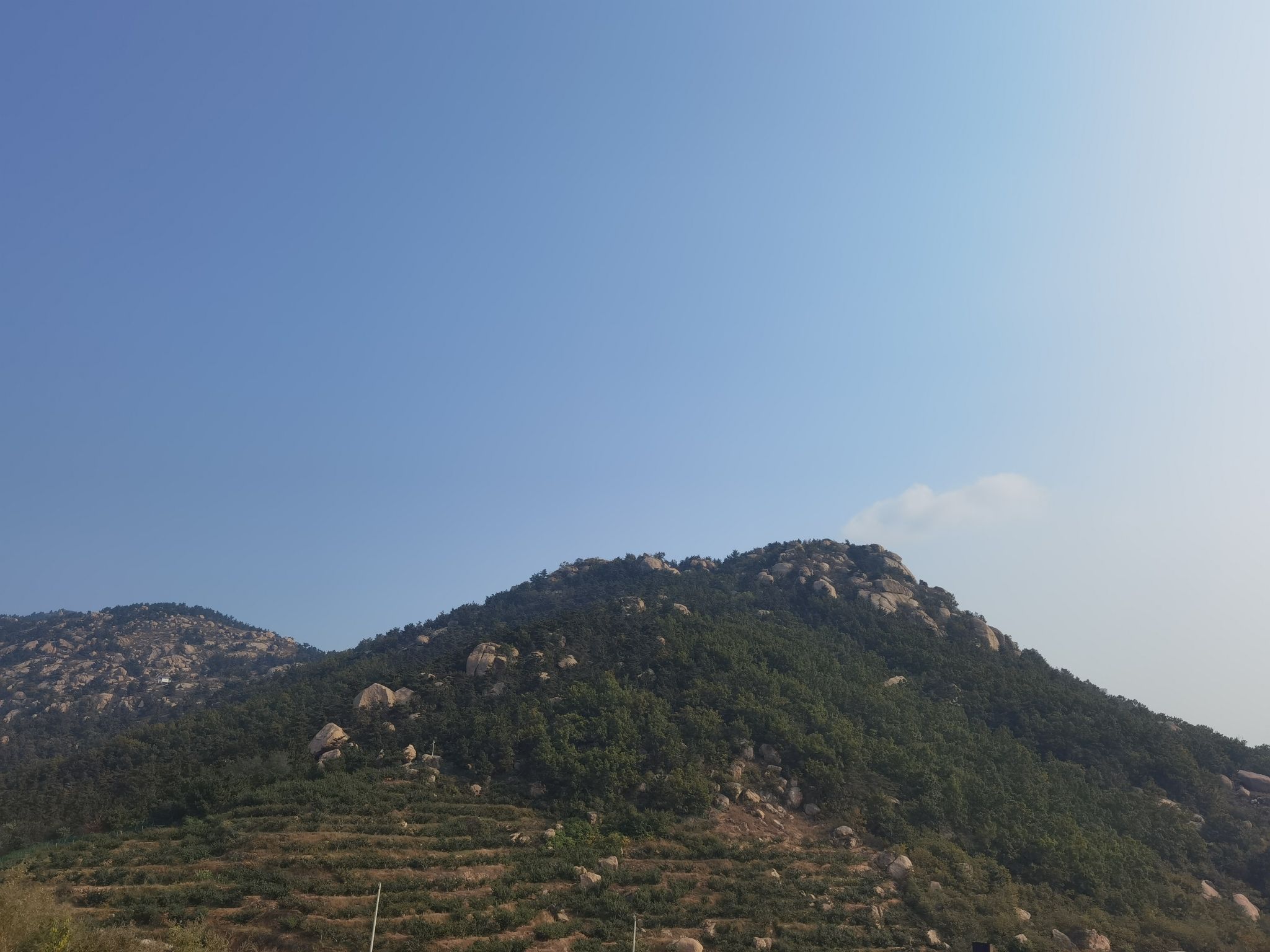 金马山森林公园旅行图片 1