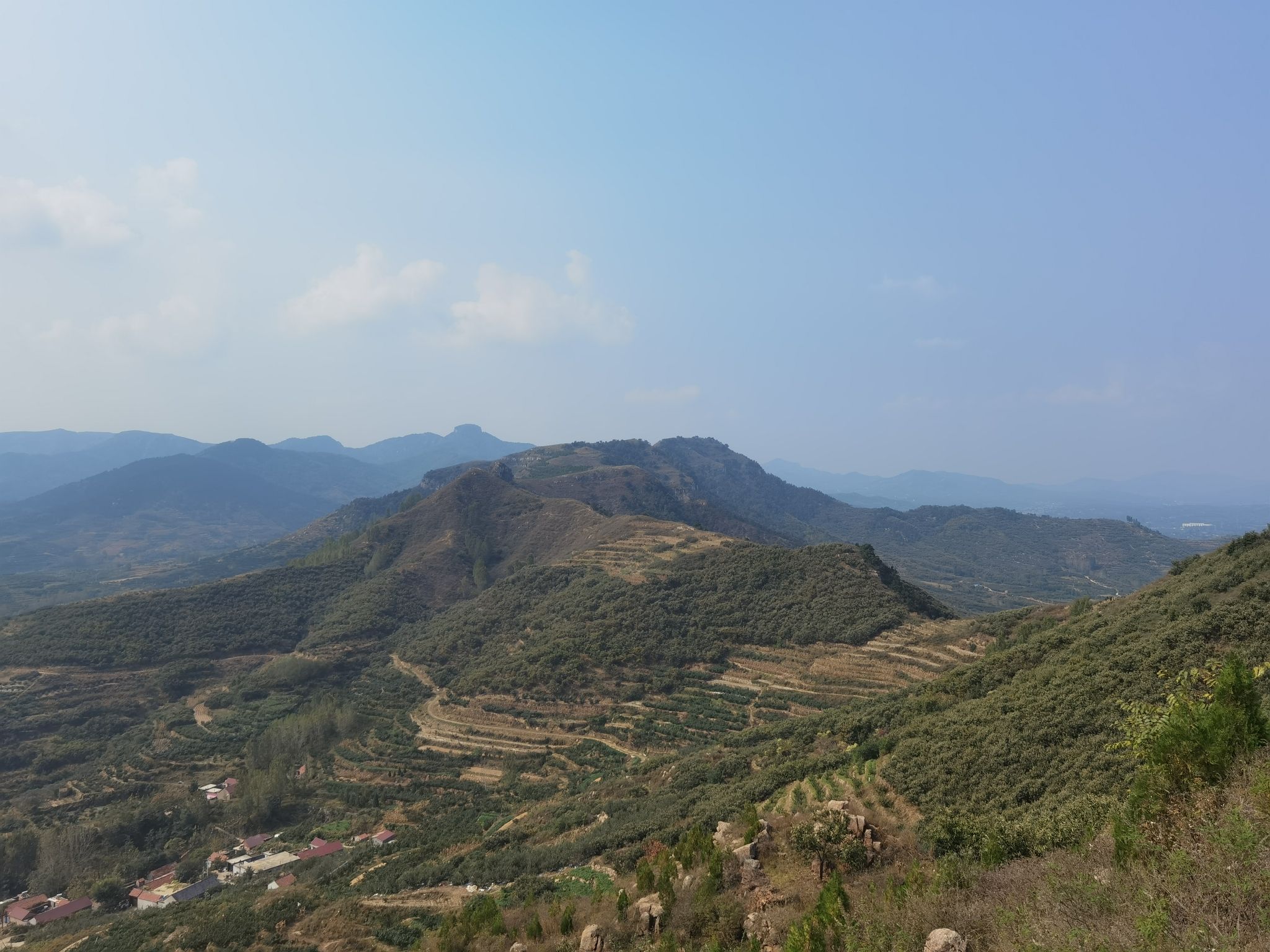 金马山森林公园旅行图片 3
