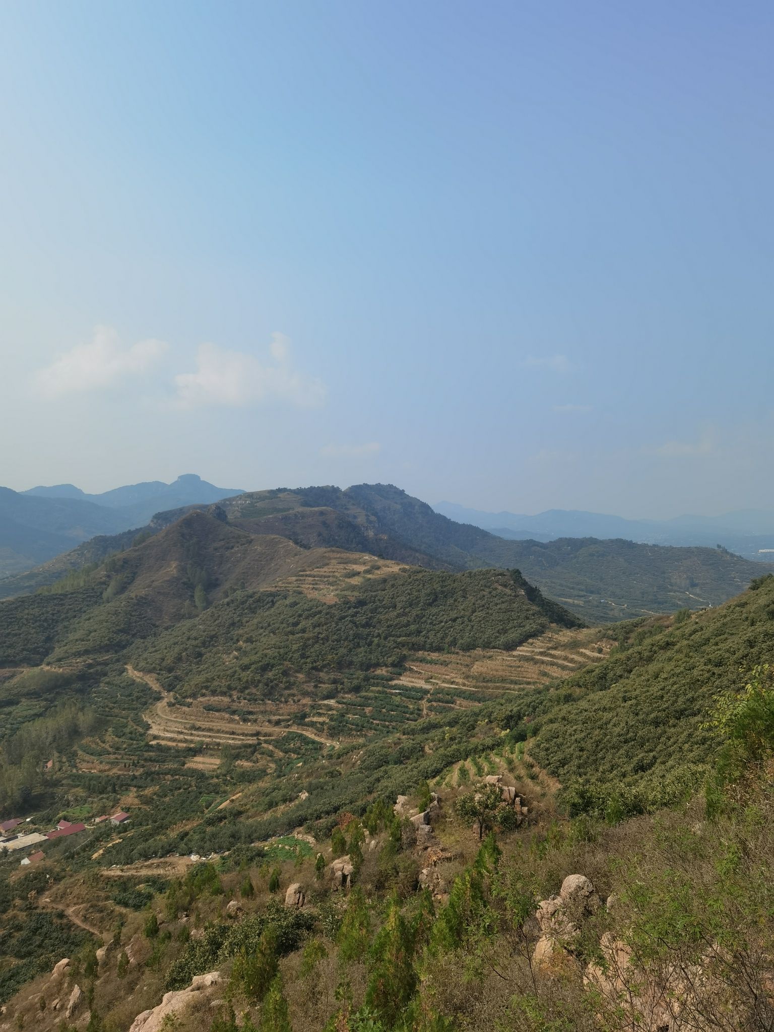 金马山森林公园旅行图片 2