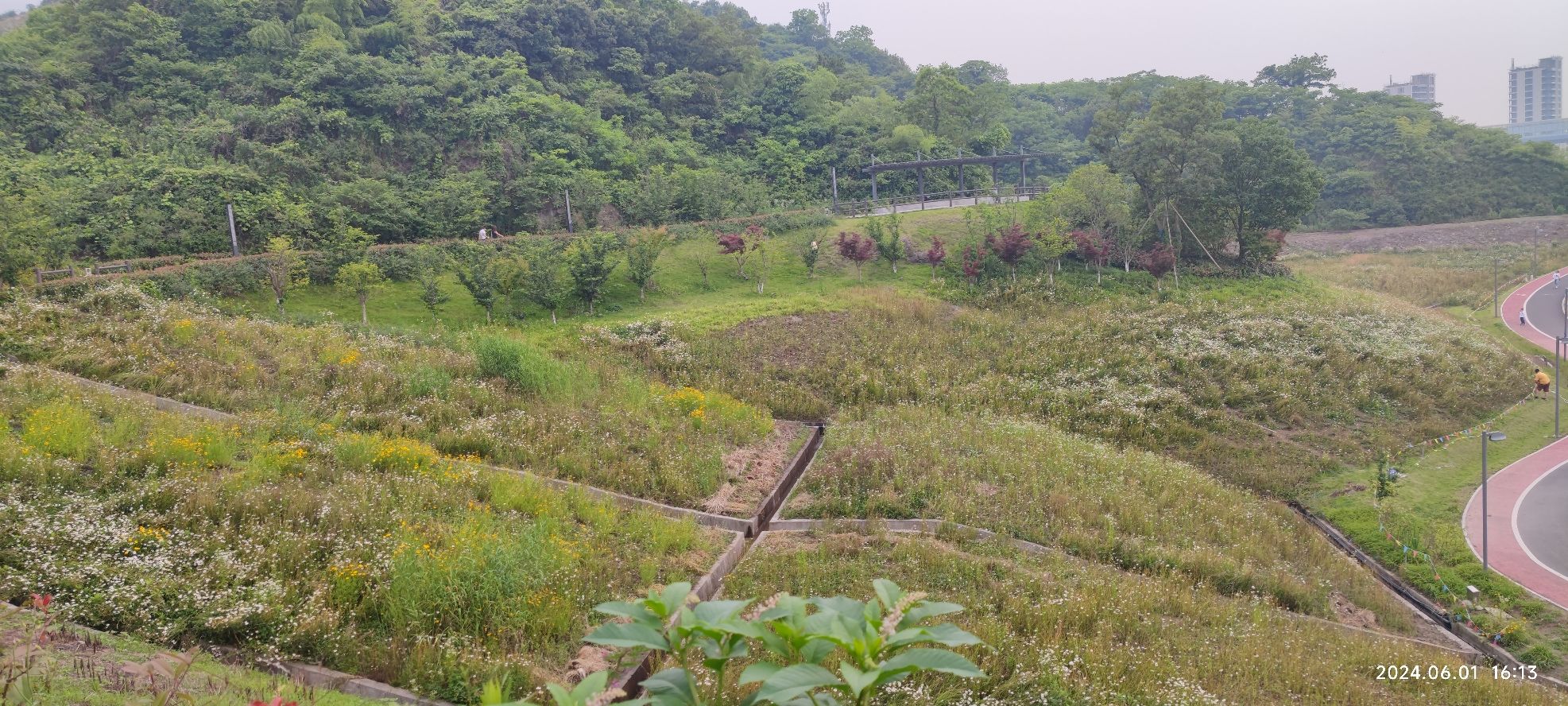 狮子山公园旅行图片 2