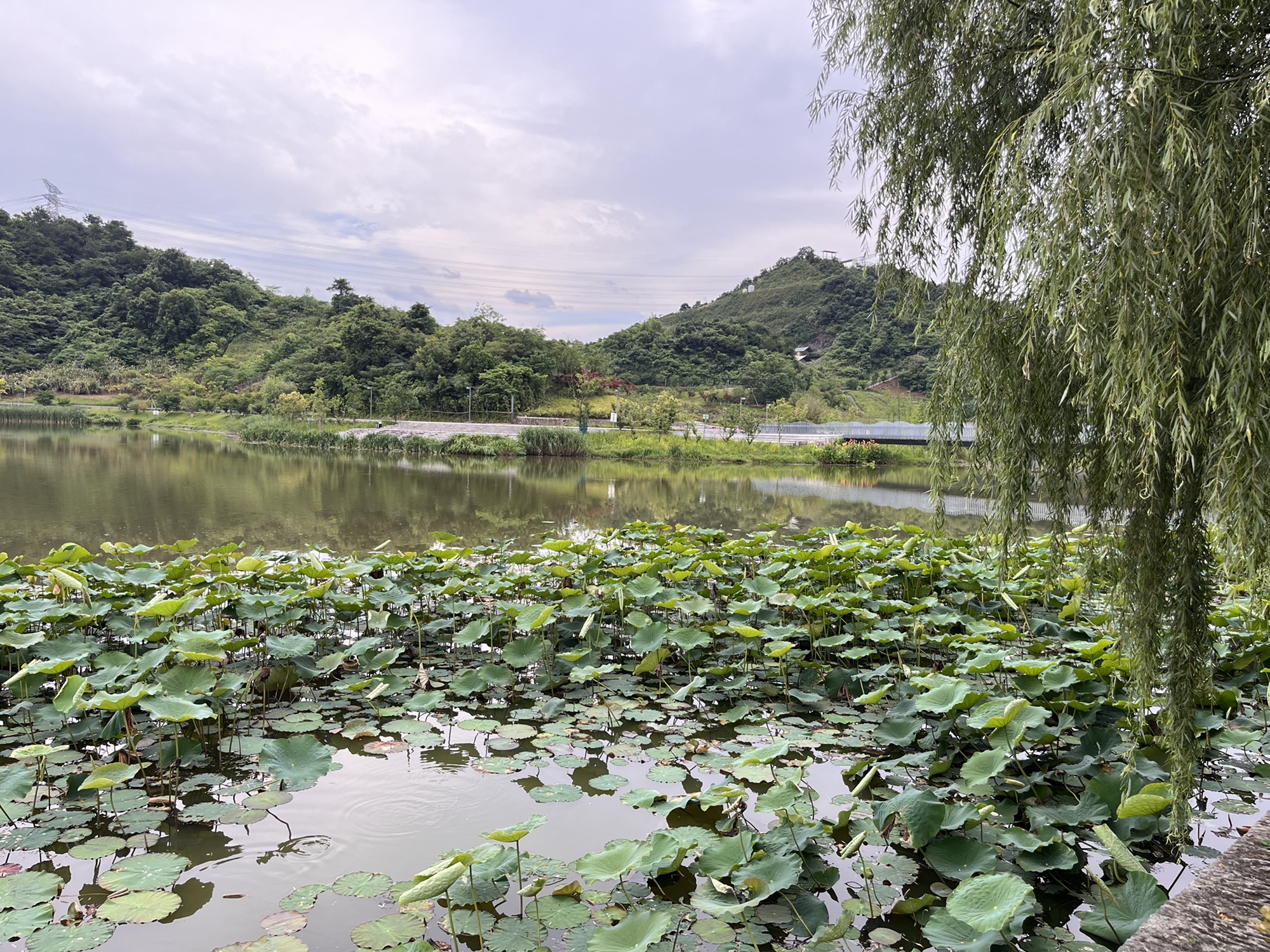 狮子山公园旅行图片 1