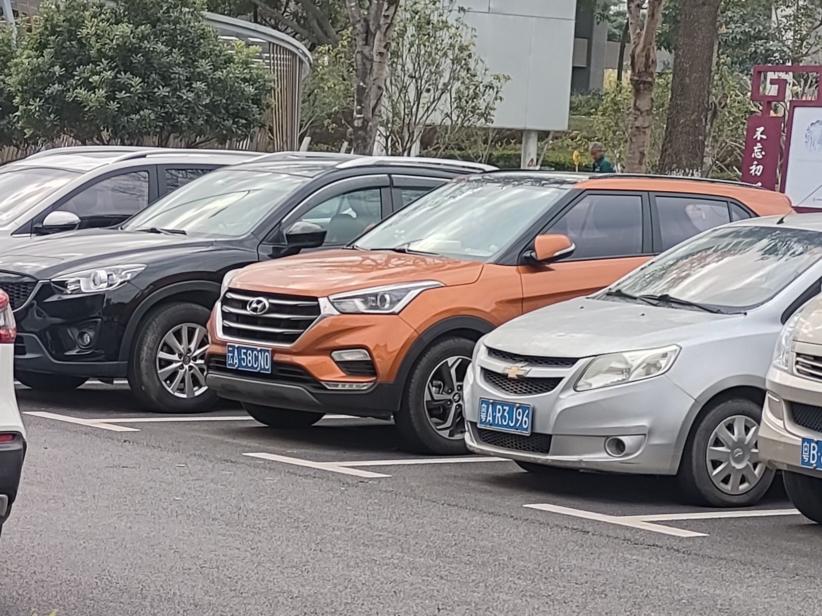大富桂月公园旅行图片 2