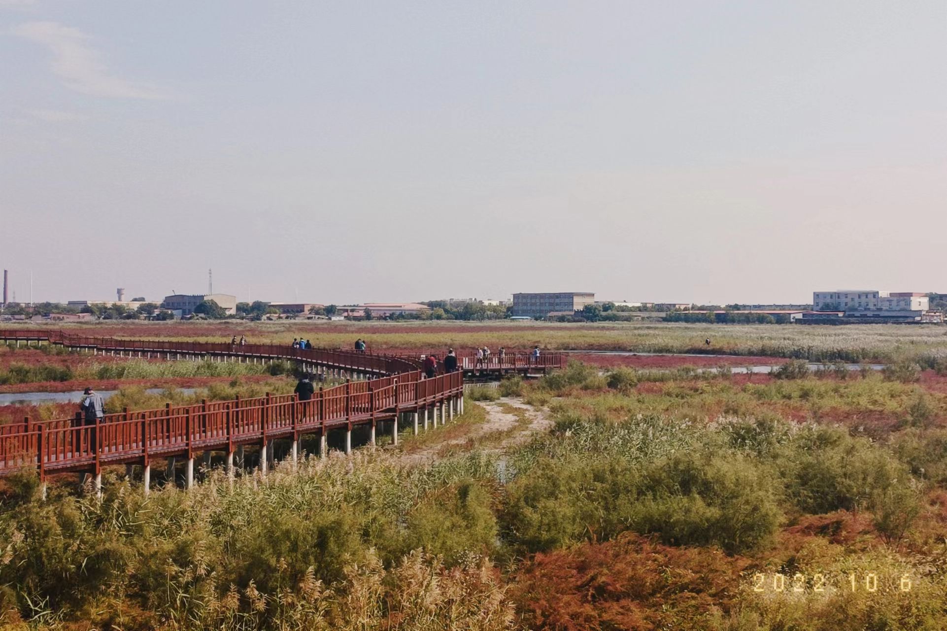 碱蓬草观景长廊旅行图片 3
