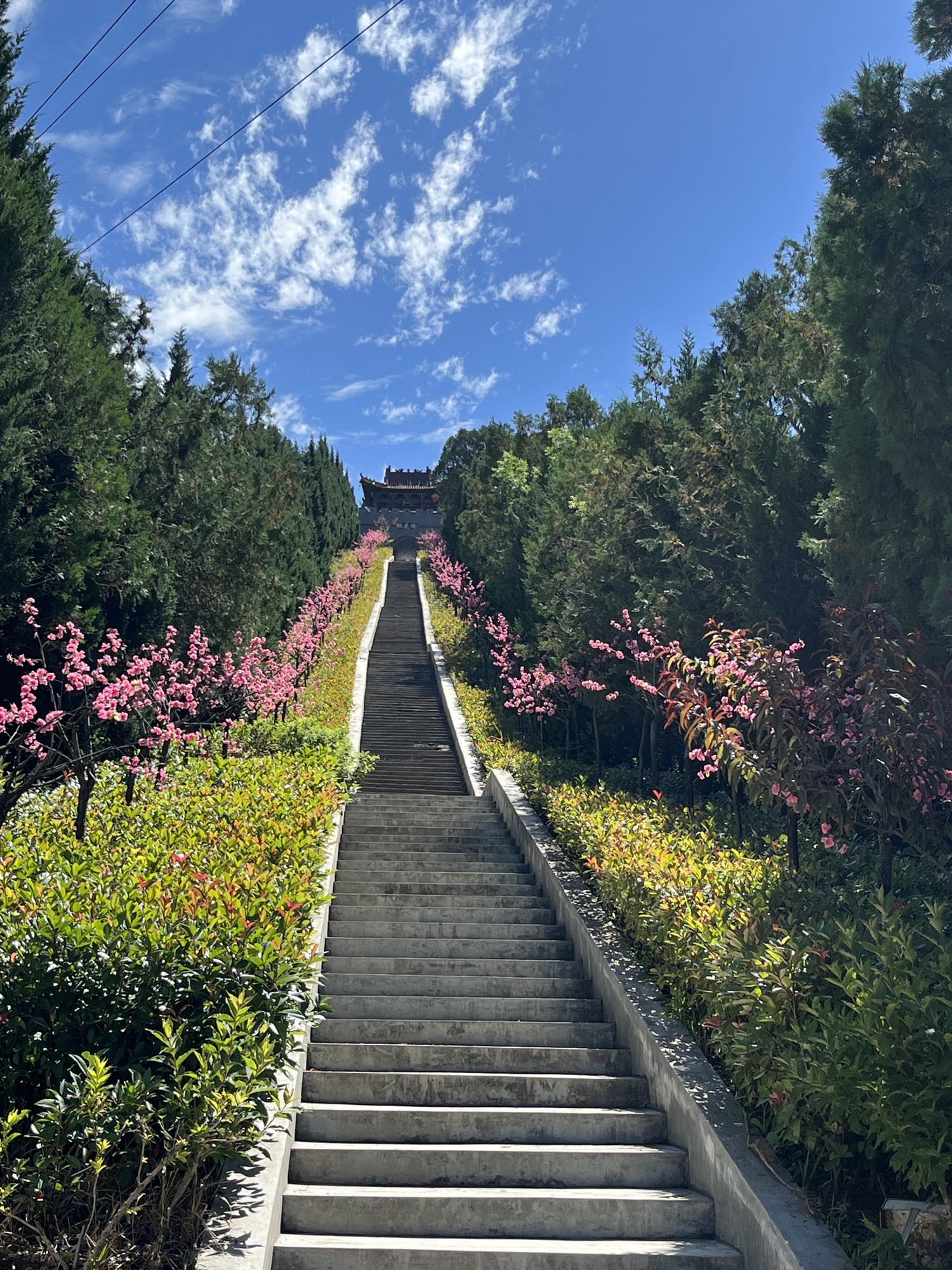 桃花岭景区