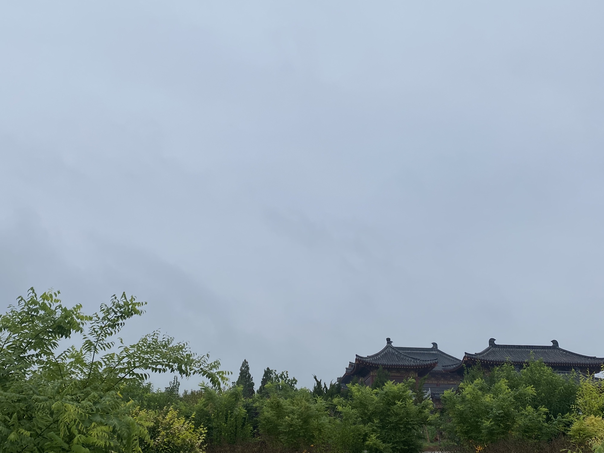 赭山山体公园旅行图片 2