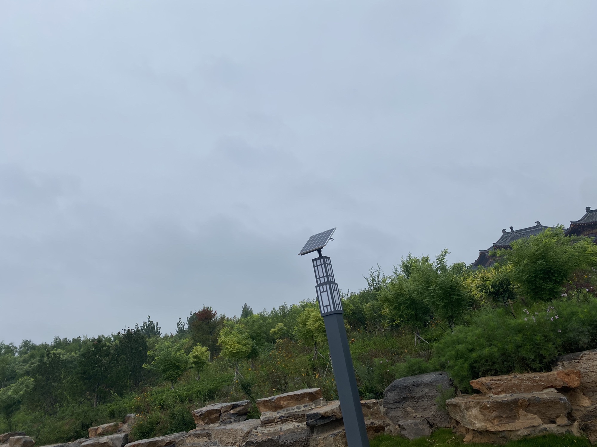 赭山山体公园旅行图片 3