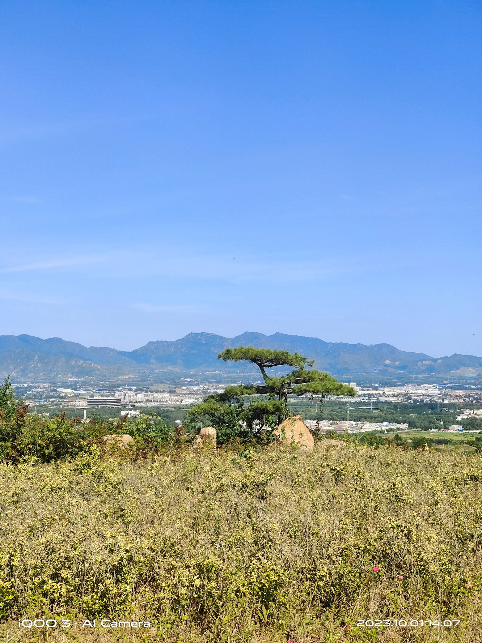 赭山山体公园旅行图片 3