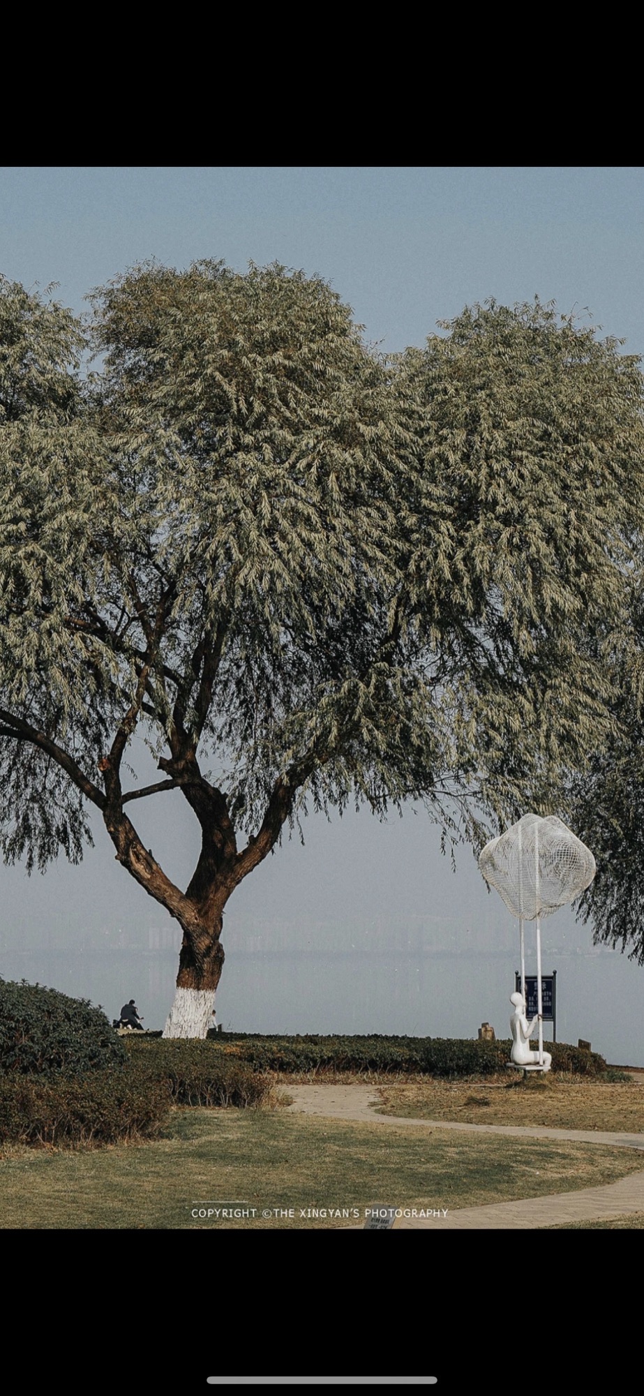悦湖湿地公园旅行图片 2