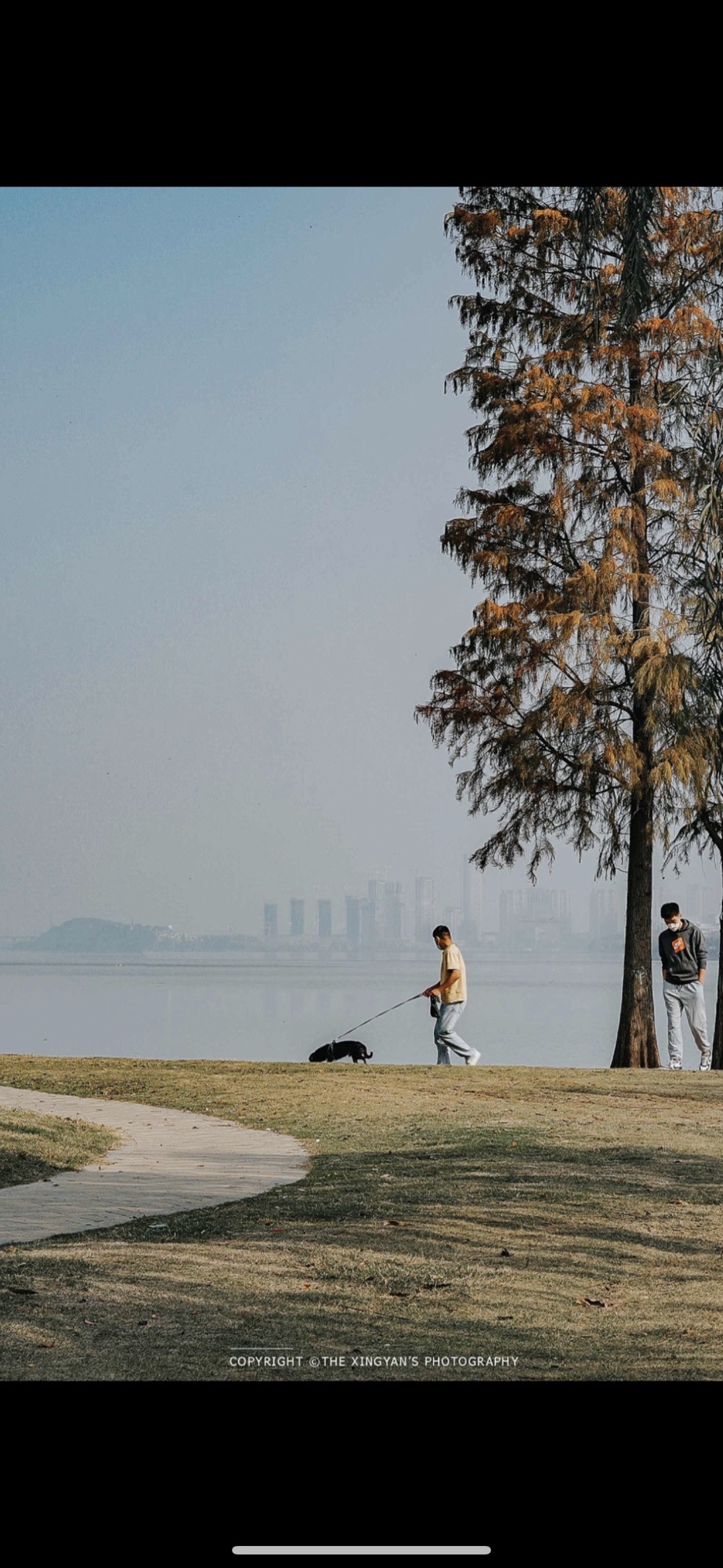 悦湖湿地公园旅行图片 1