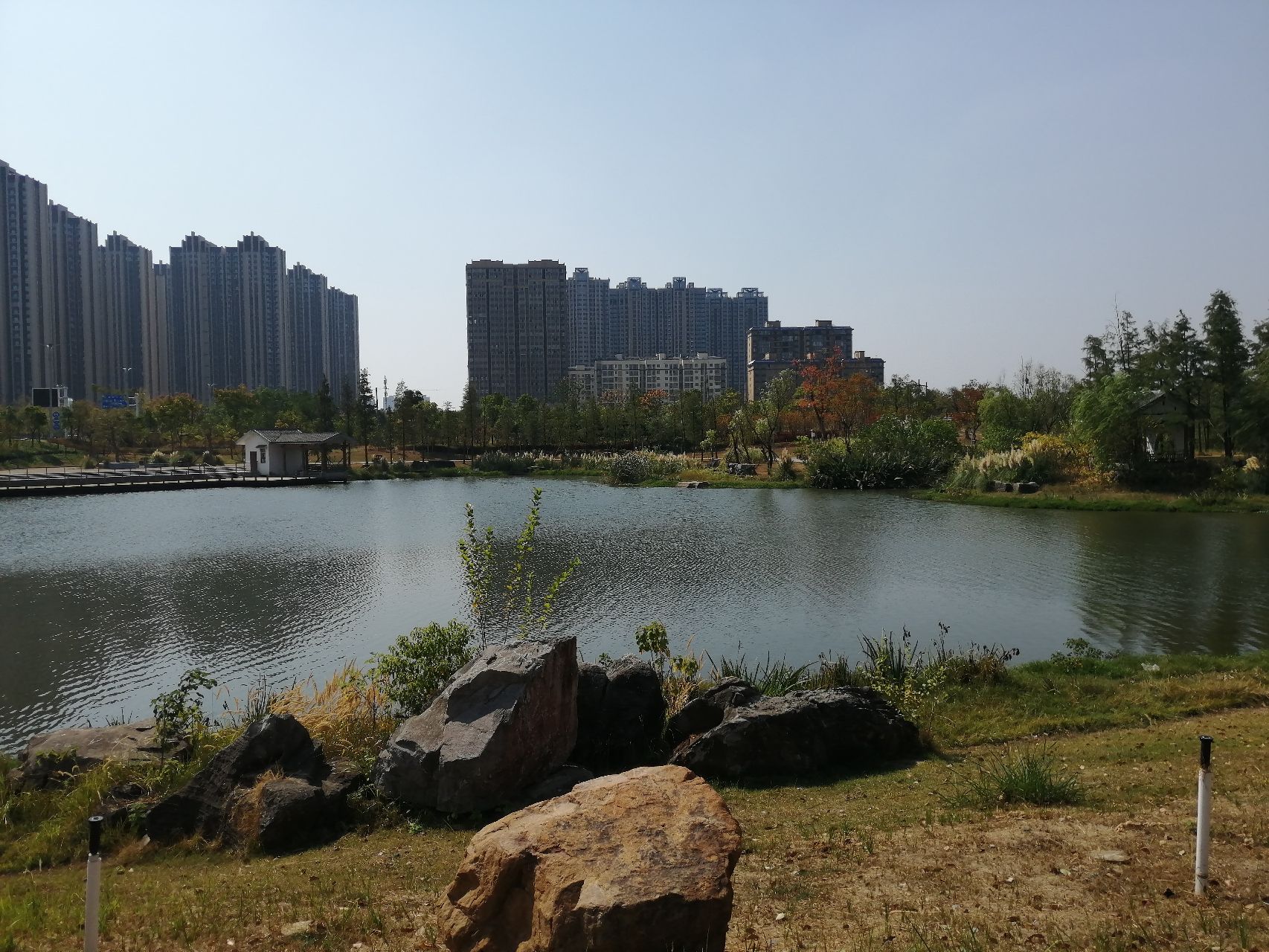 悦湖湿地公园旅行图片 1