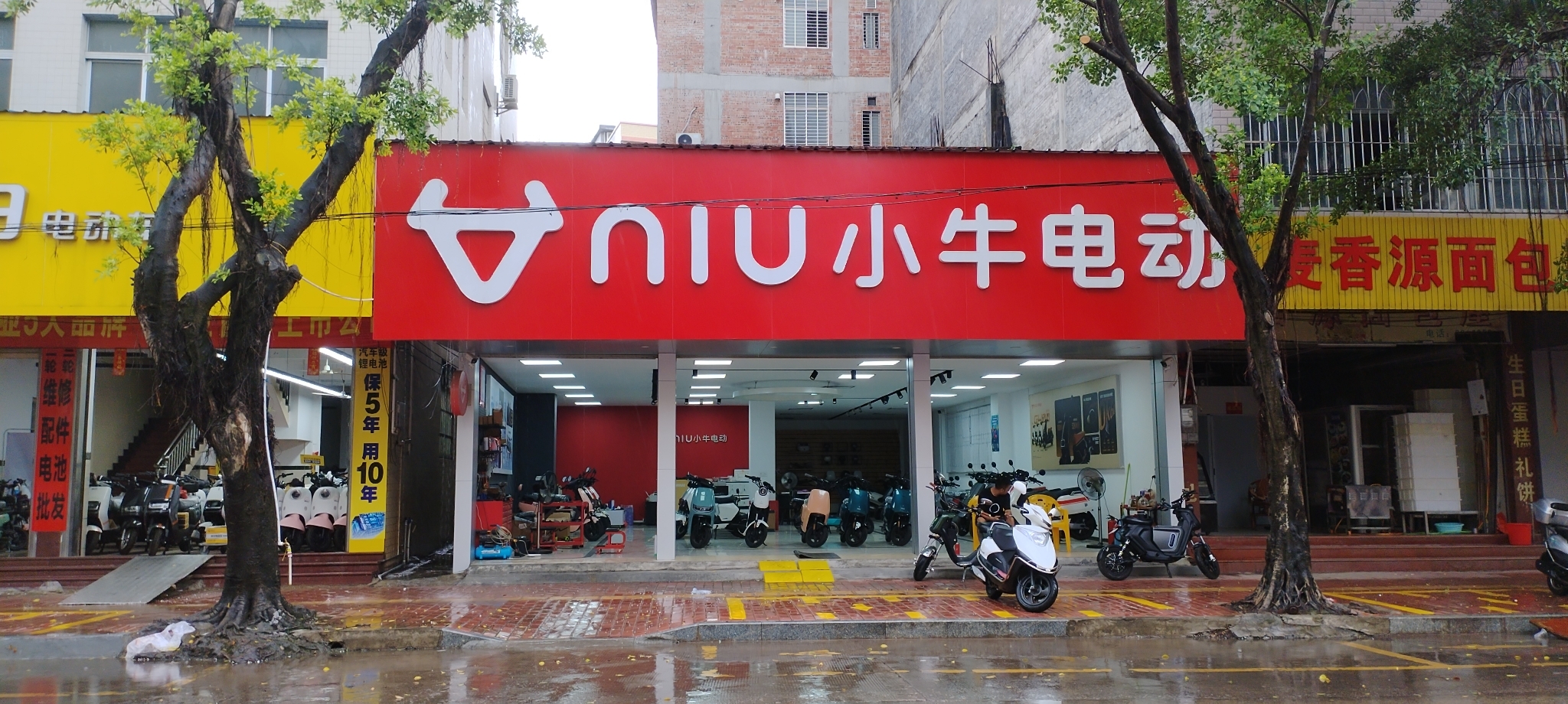 小牛电动(罗定店)