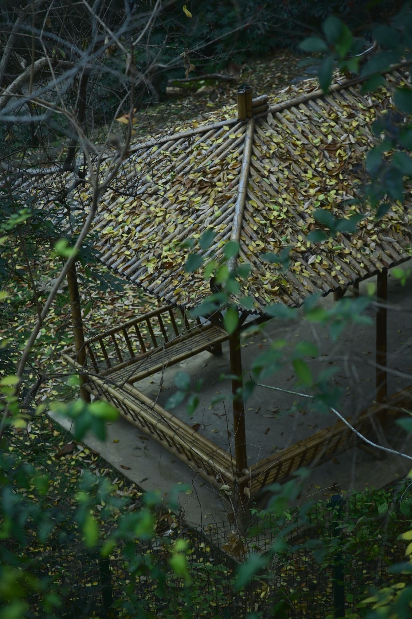 蛇山旅行图片 2