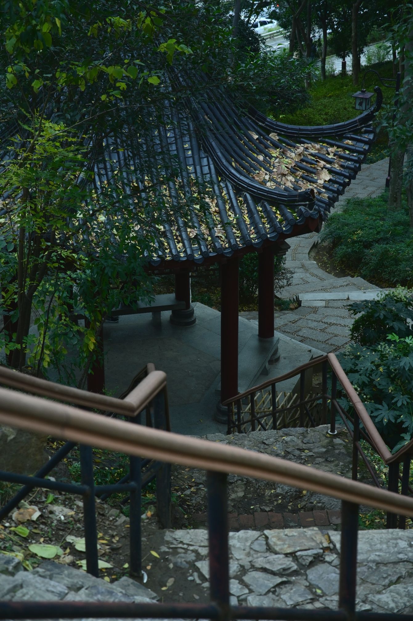 蛇山旅行图片 3