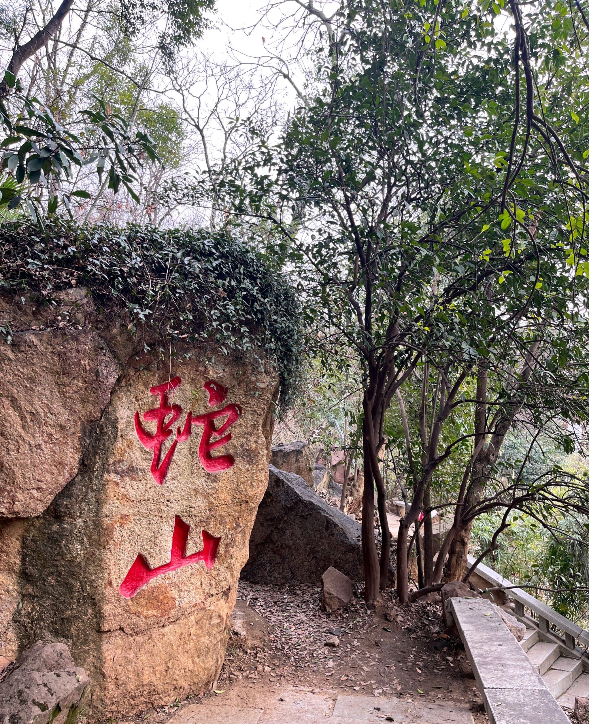 蛇山旅行图片 1