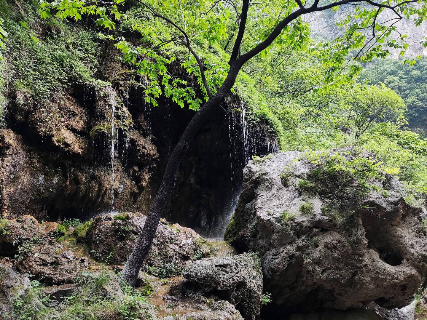 红岩洞旅行图片 1