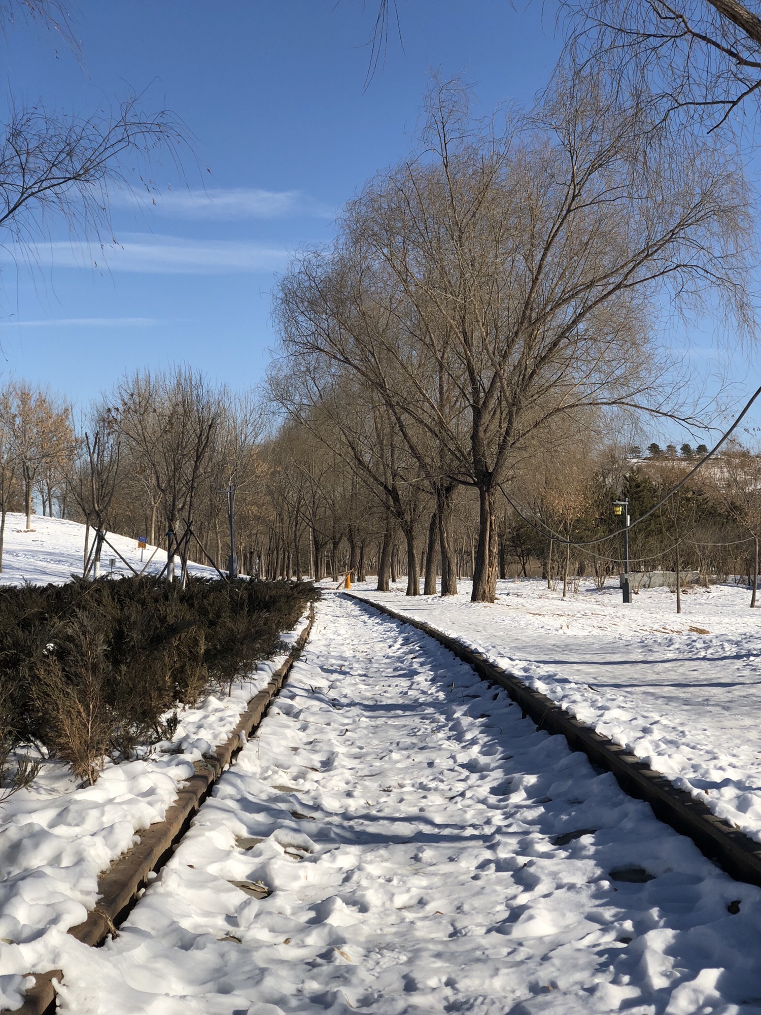 南苑森林湿地公园1期旅行图片 2