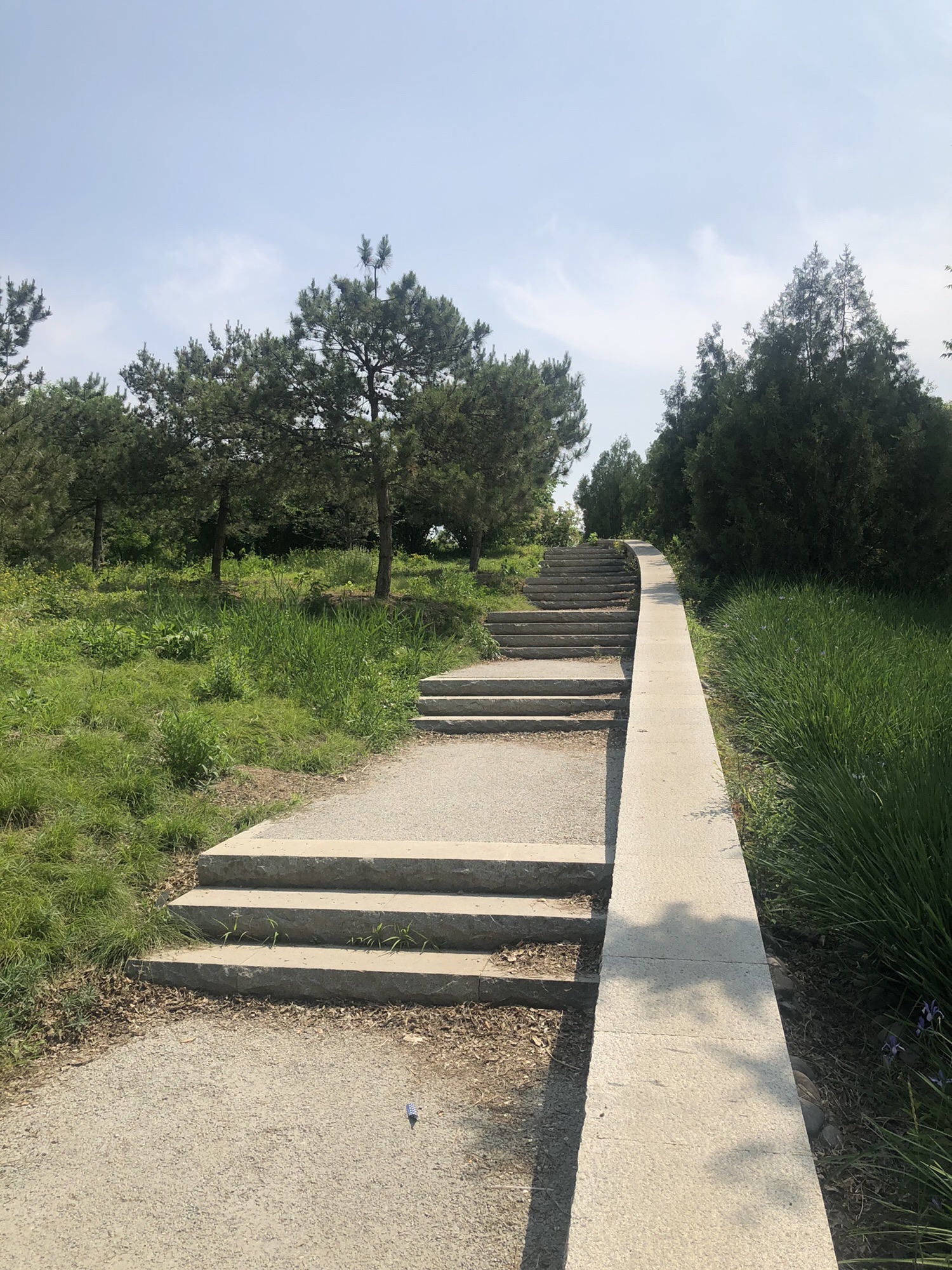 南苑森林湿地公园1期旅行图片 3
