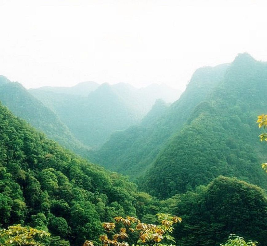 笋峰列阵旅行图片 3