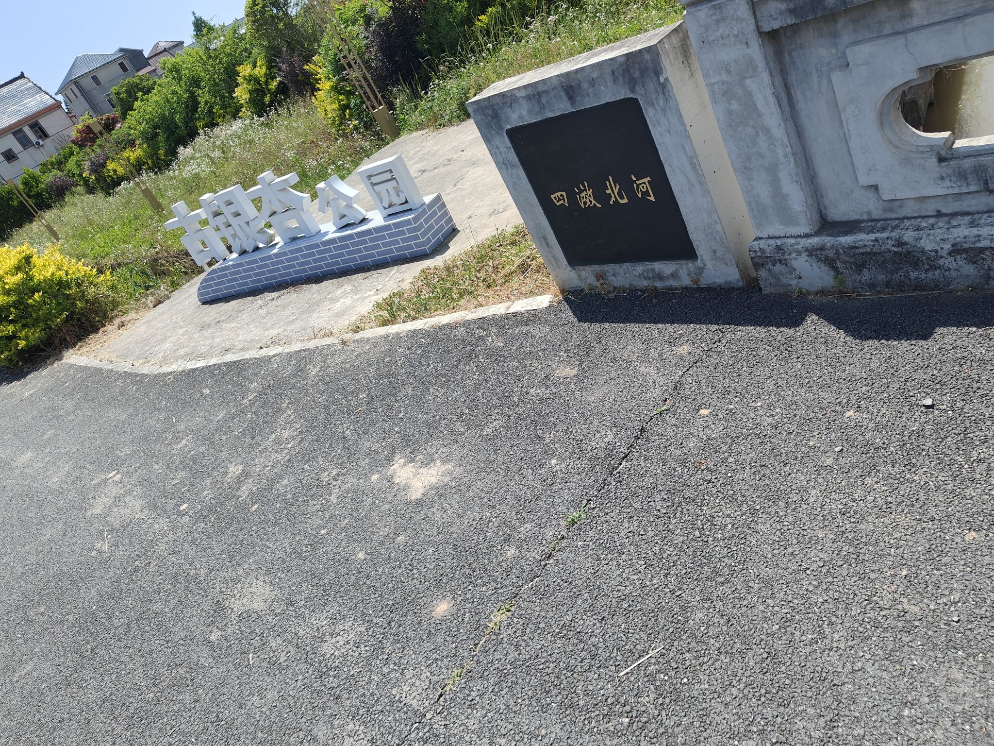 古银杏公园旅行图片 2
