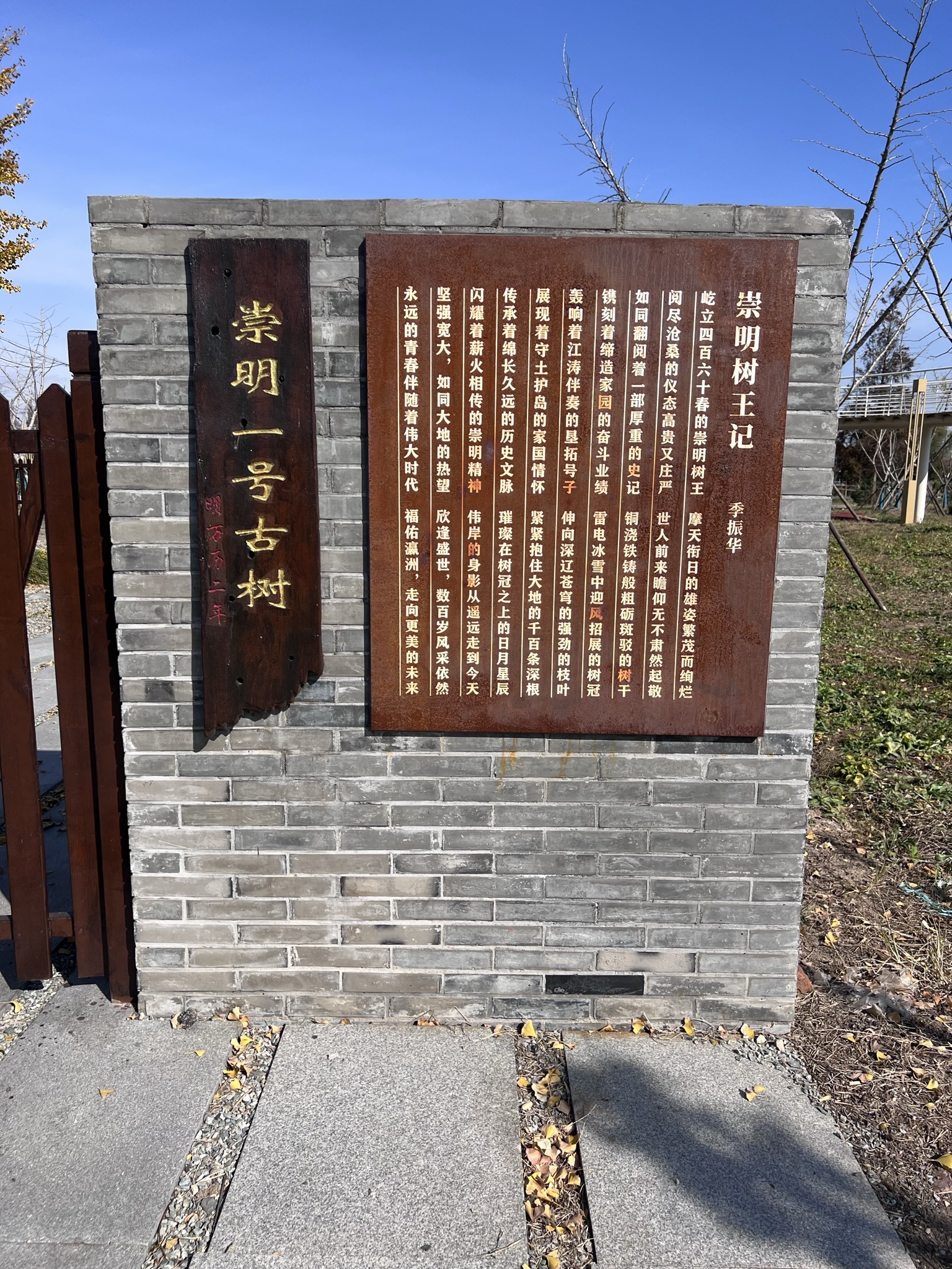古银杏公园旅行图片 3