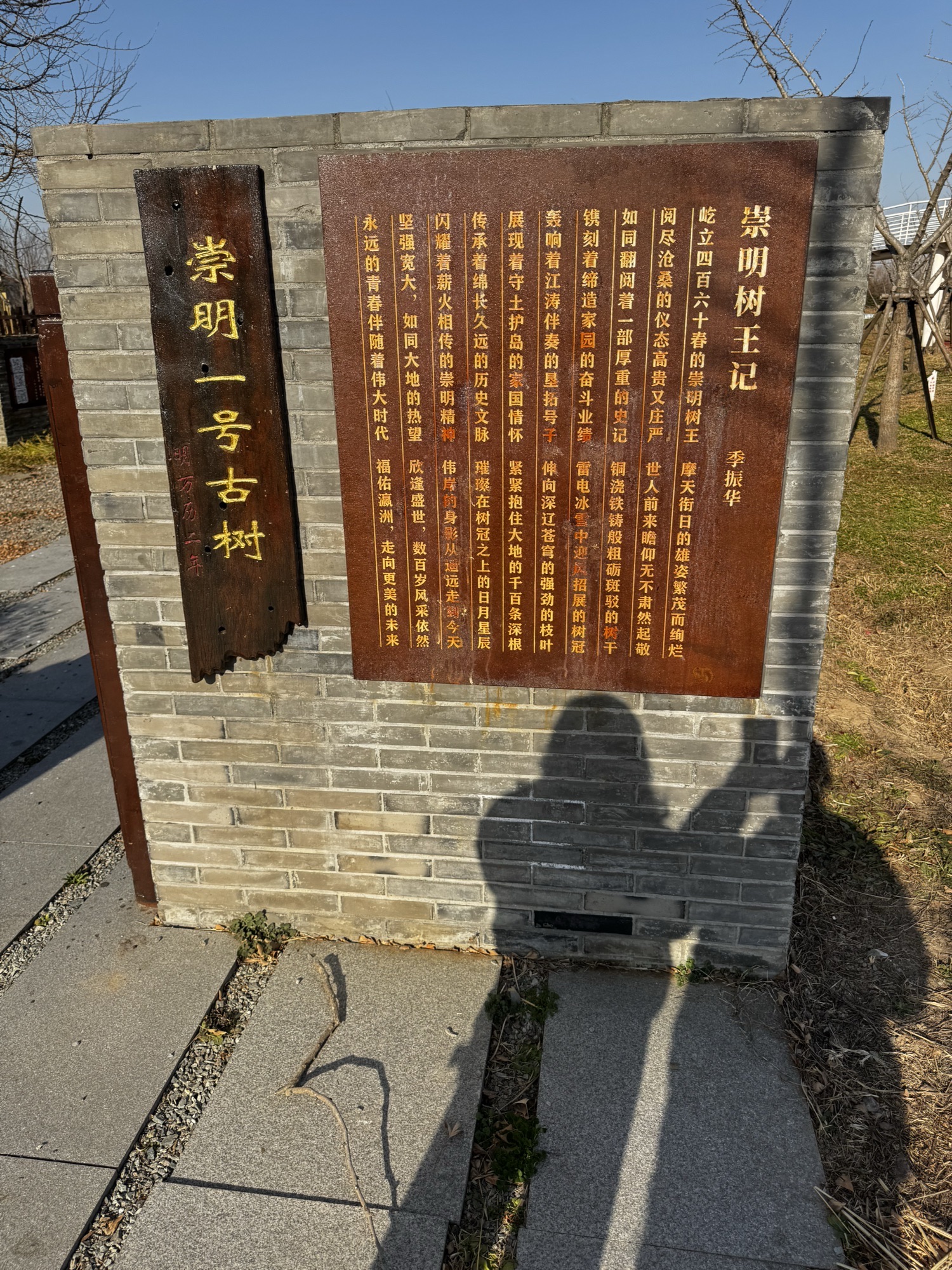 古银杏公园旅行图片 1