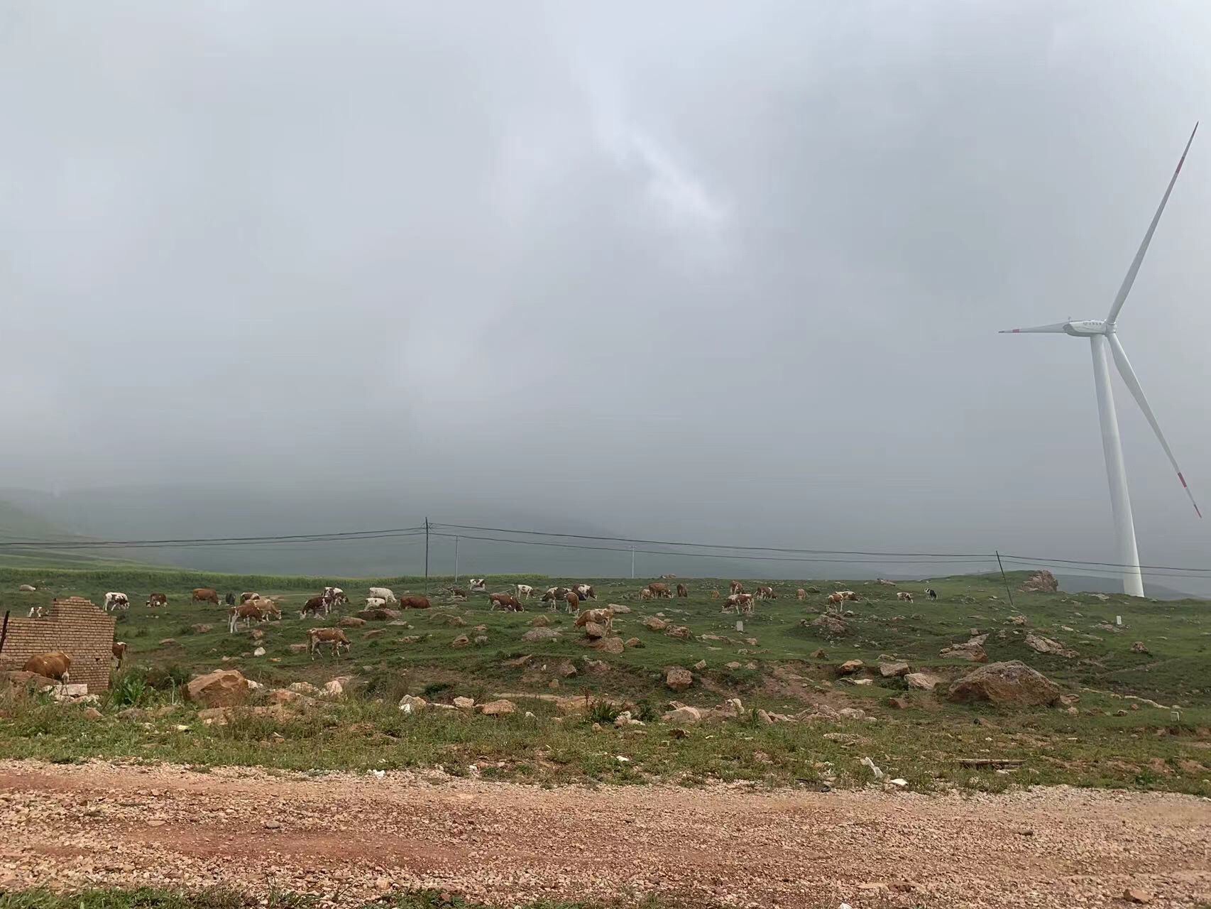 空中草原景区旅行图片 1